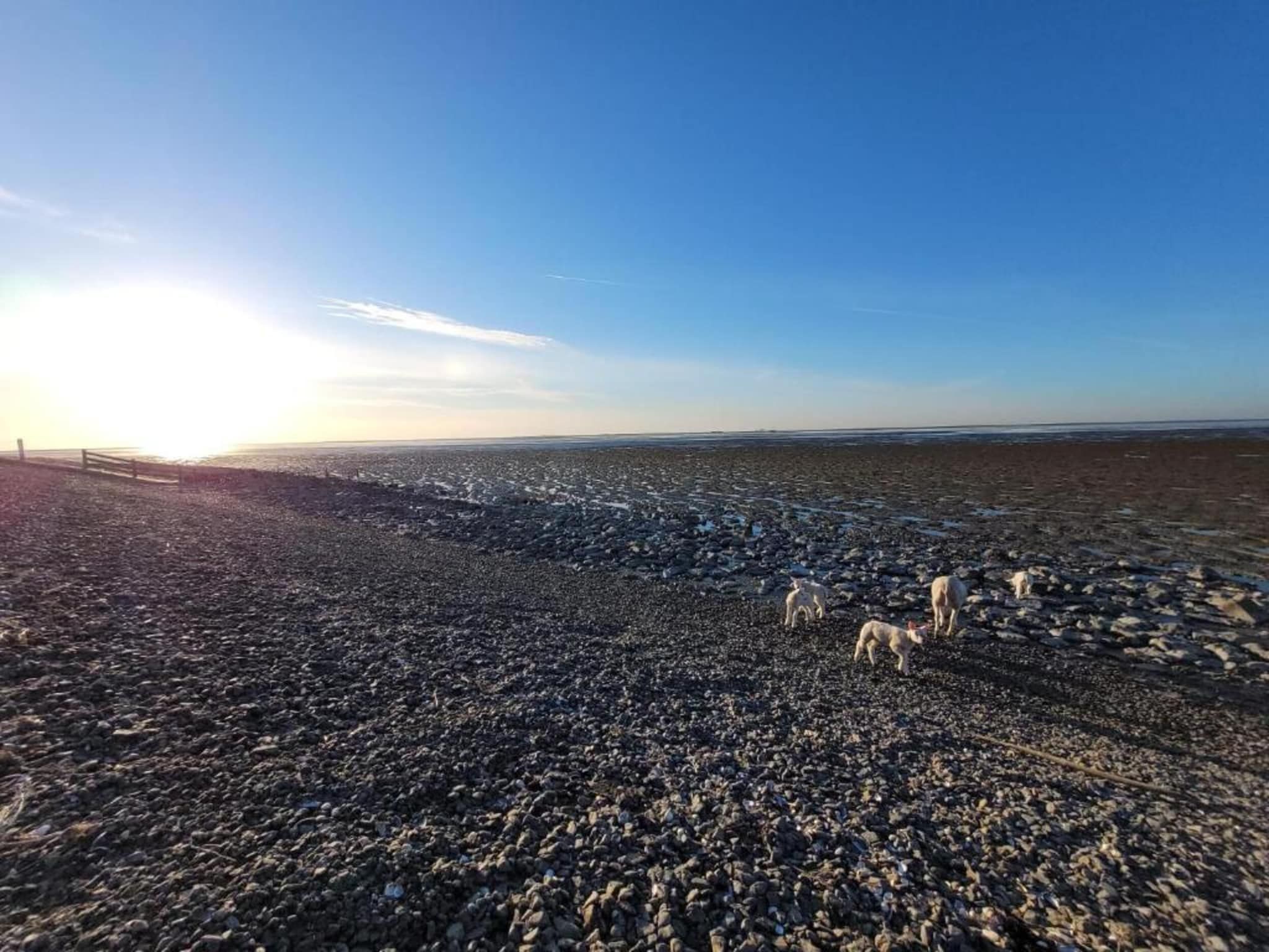 Luna in Stavoren - Foto 30 van 40