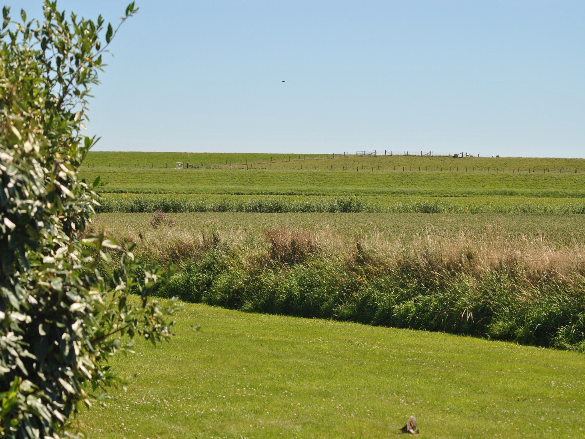 Het uitzicht vanaf Florijn 2 in Oost-Texel