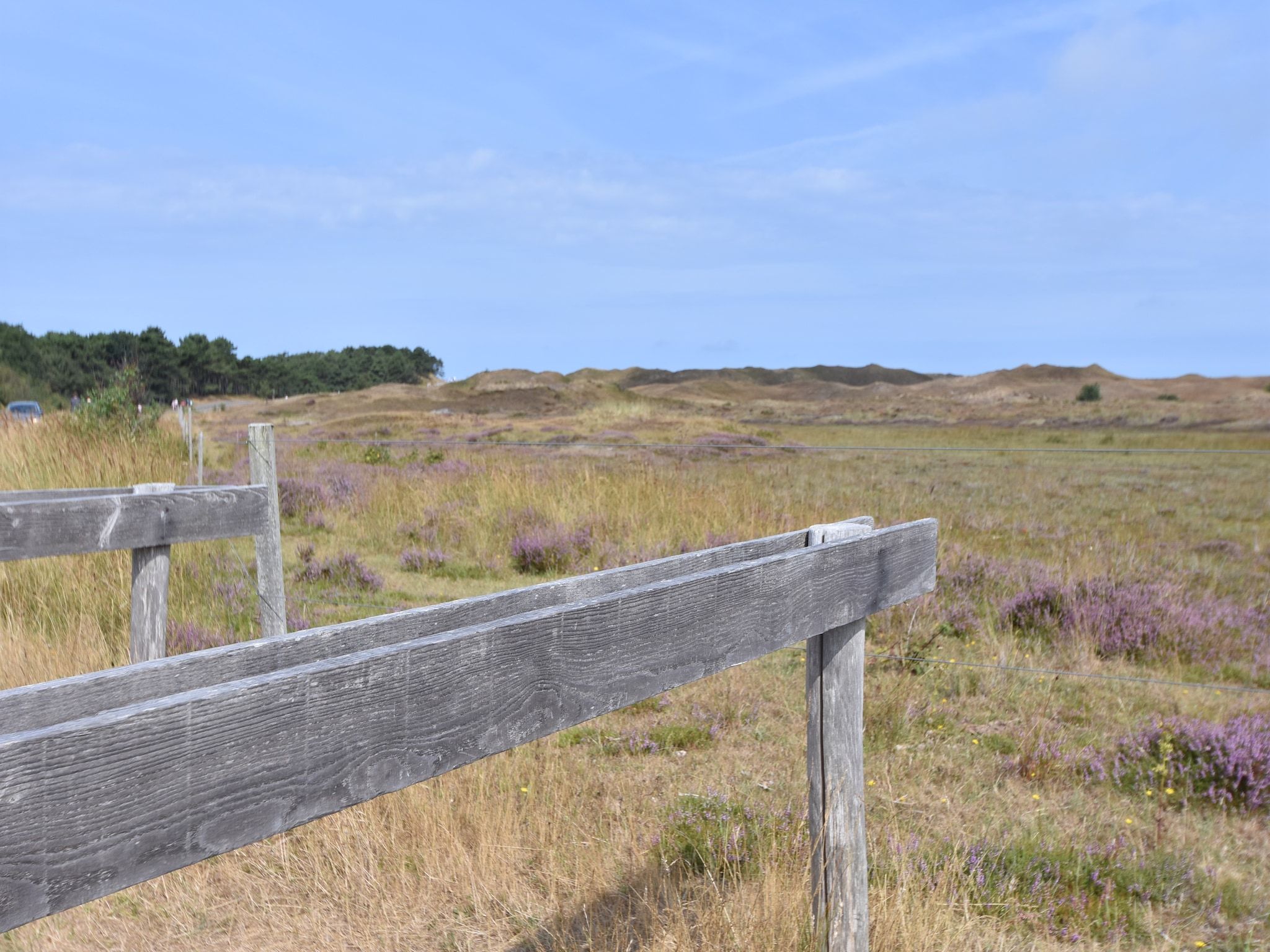 De omgeving van Florijn 4 in Oost-Texel