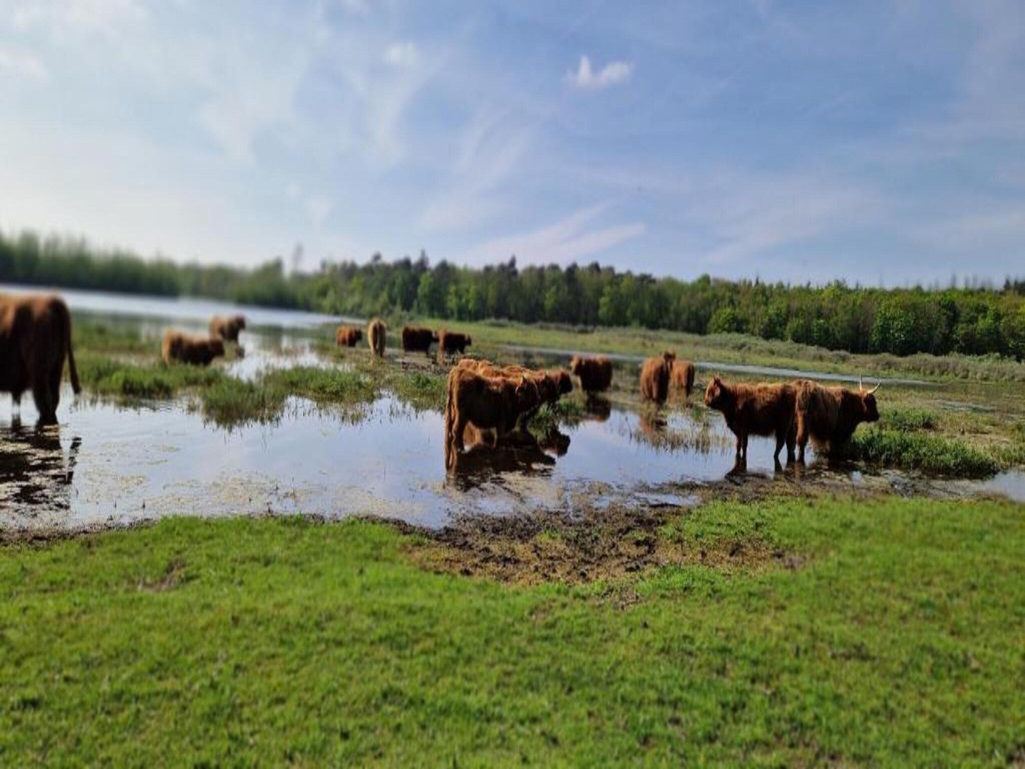 Onder de Molen 24 pers in Middenbeemster - Foto 31 van 40