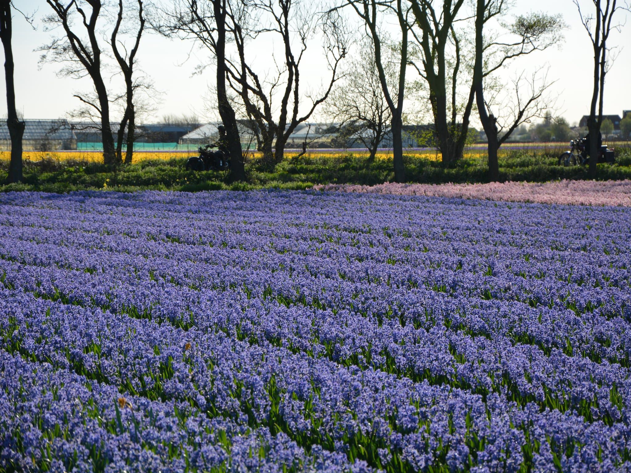 Shelley Beach House in Noordwijkerhout - Foto 28 van 40