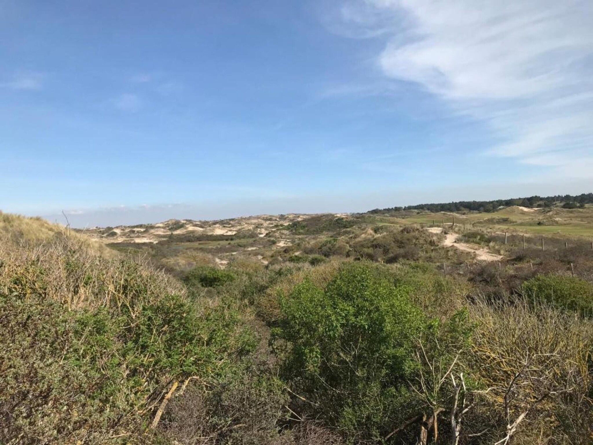 Shelley Beach House in Noordwijkerhout - Foto 30 van 40