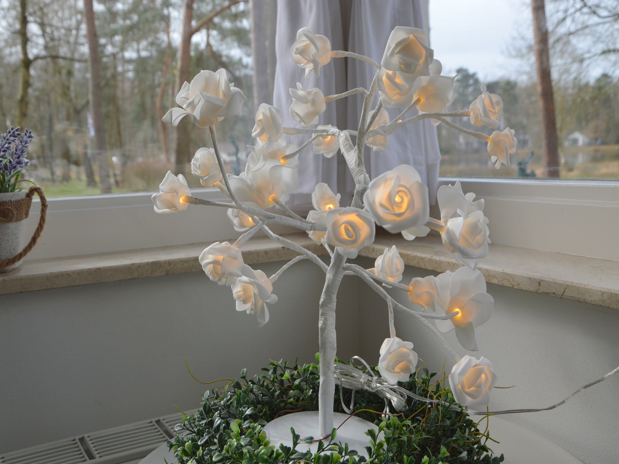 Sfeerbeeld van Bungalow nummer 1 in Stramproy