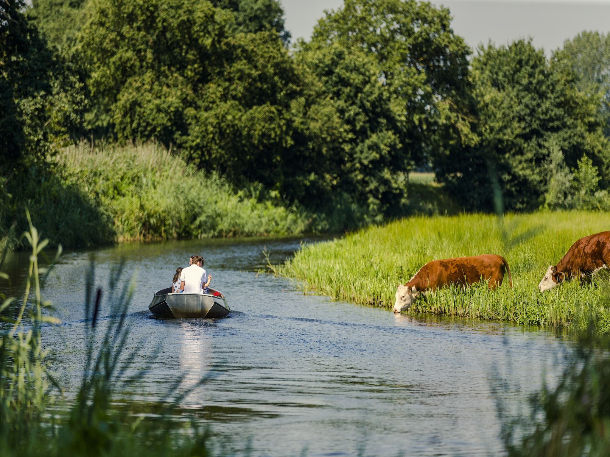 Parkfaciliteiten bij Vakantiepark Mölke 10 in Zuna