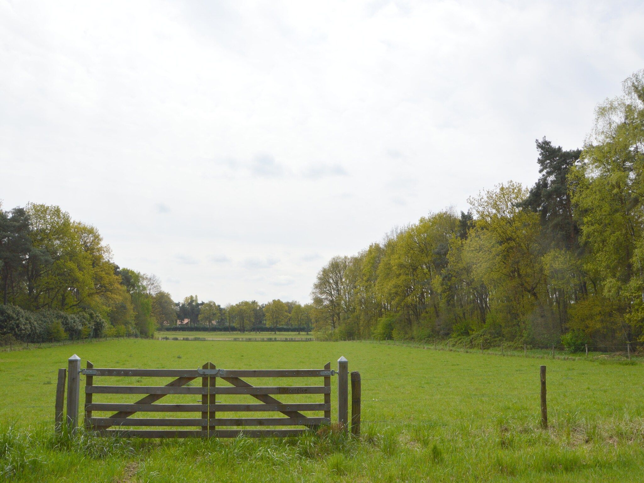 Bungalow 69 in Stramproy - Foto 32 van 32