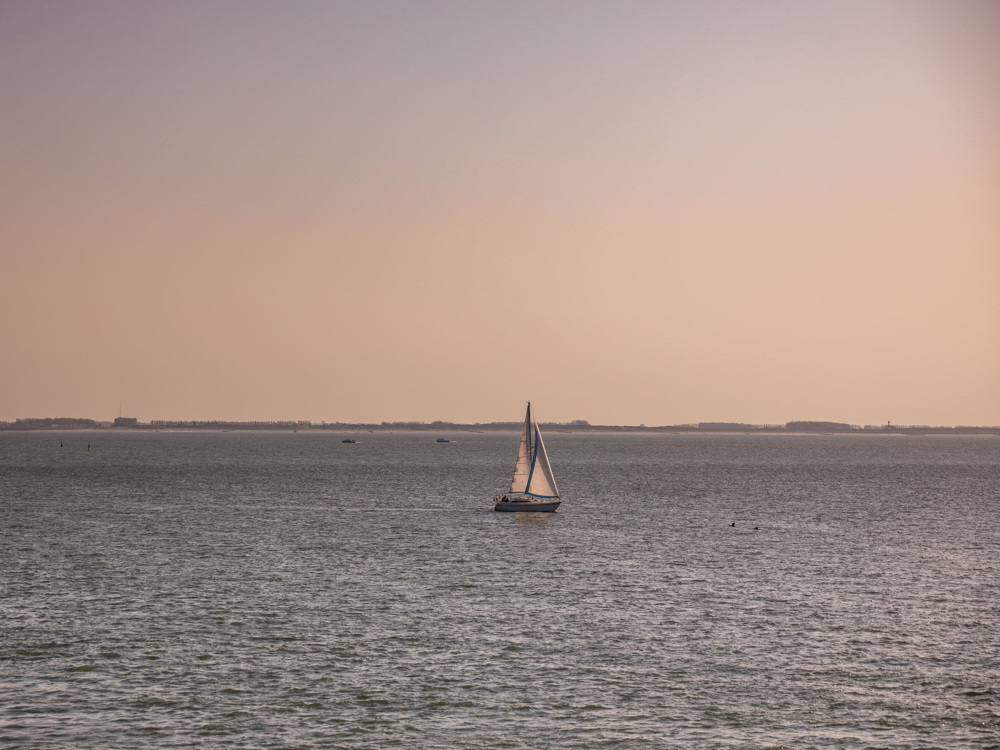 De omgeving van Noordzee Resort Vlissingen 1 in Vlissingen