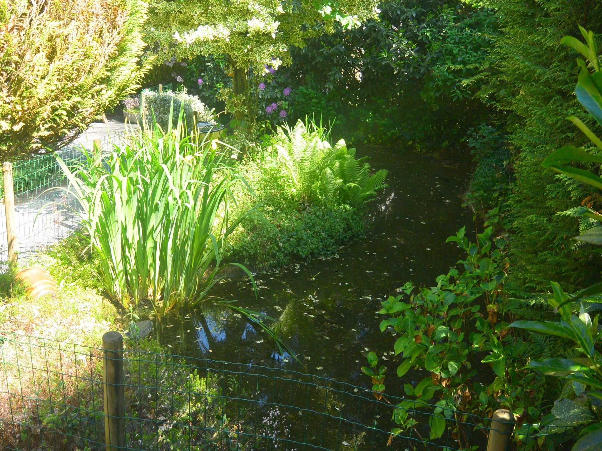 De tuin van Poort naar de Veluwe in Voorthuizen