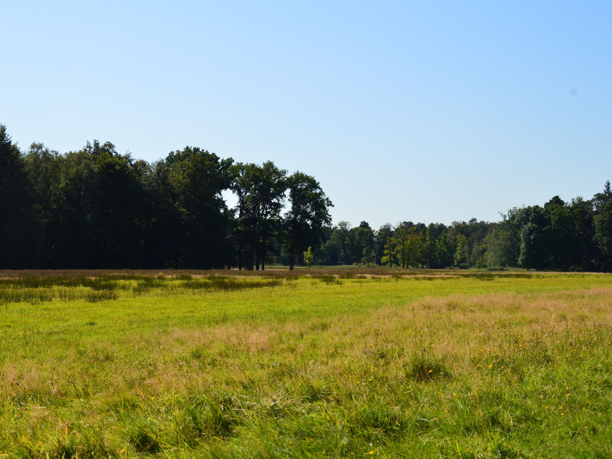 Poort naar de Veluwe in Voorthuizen - Foto 31 van 40