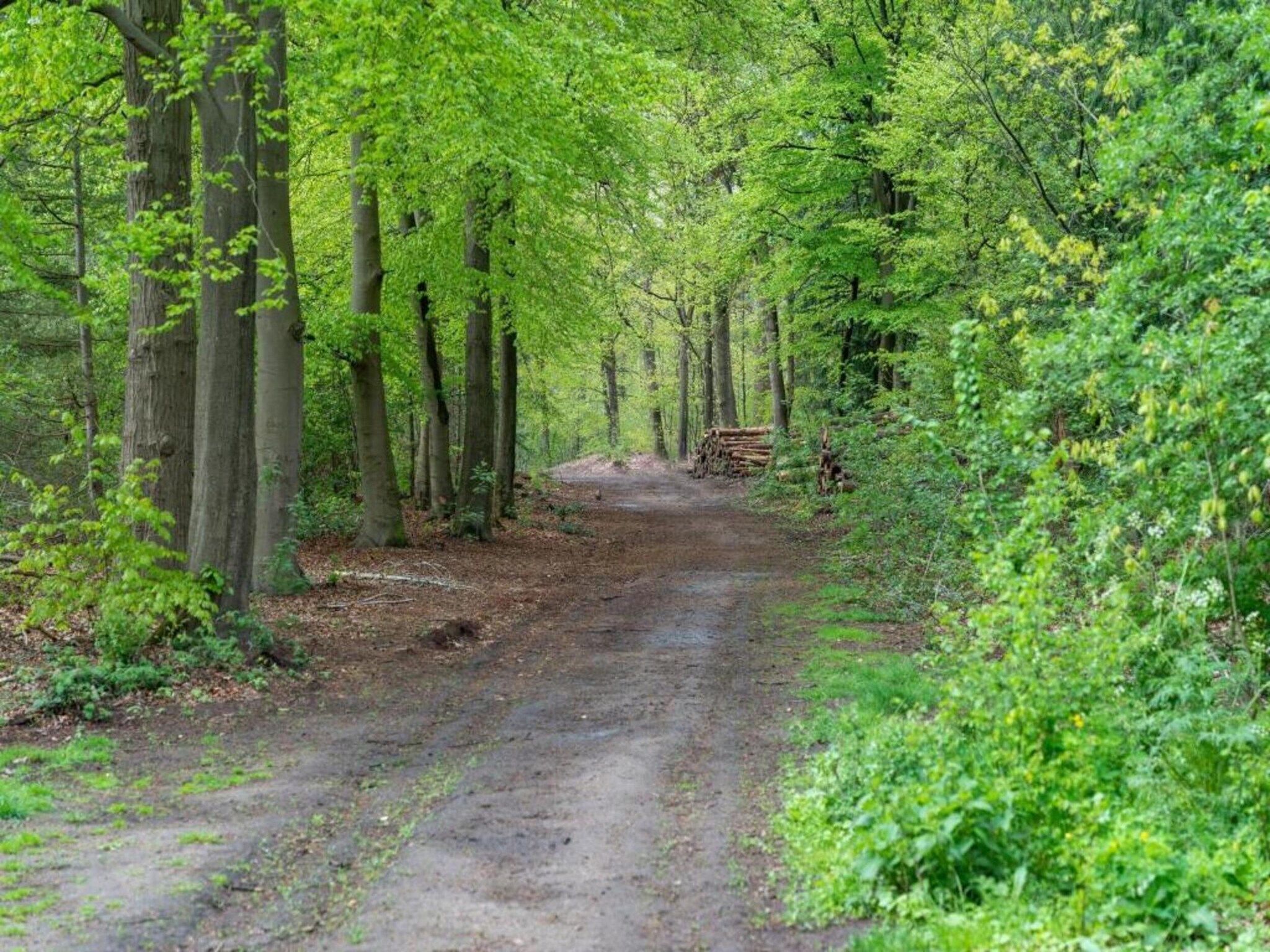 De omgeving van Poort naar de Veluwe in Voorthuizen