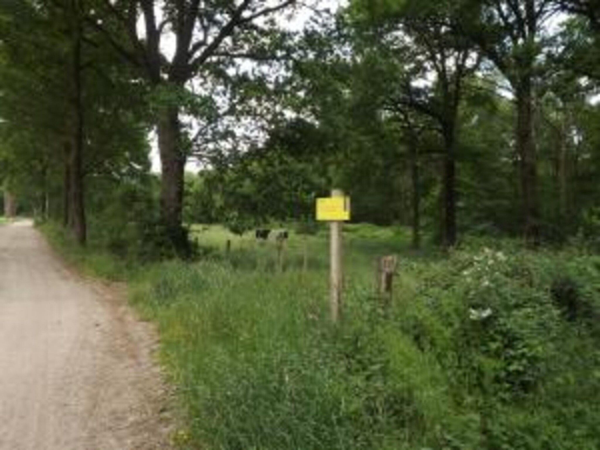 Bungalow 87 in Stramproy - Foto 35 van 40