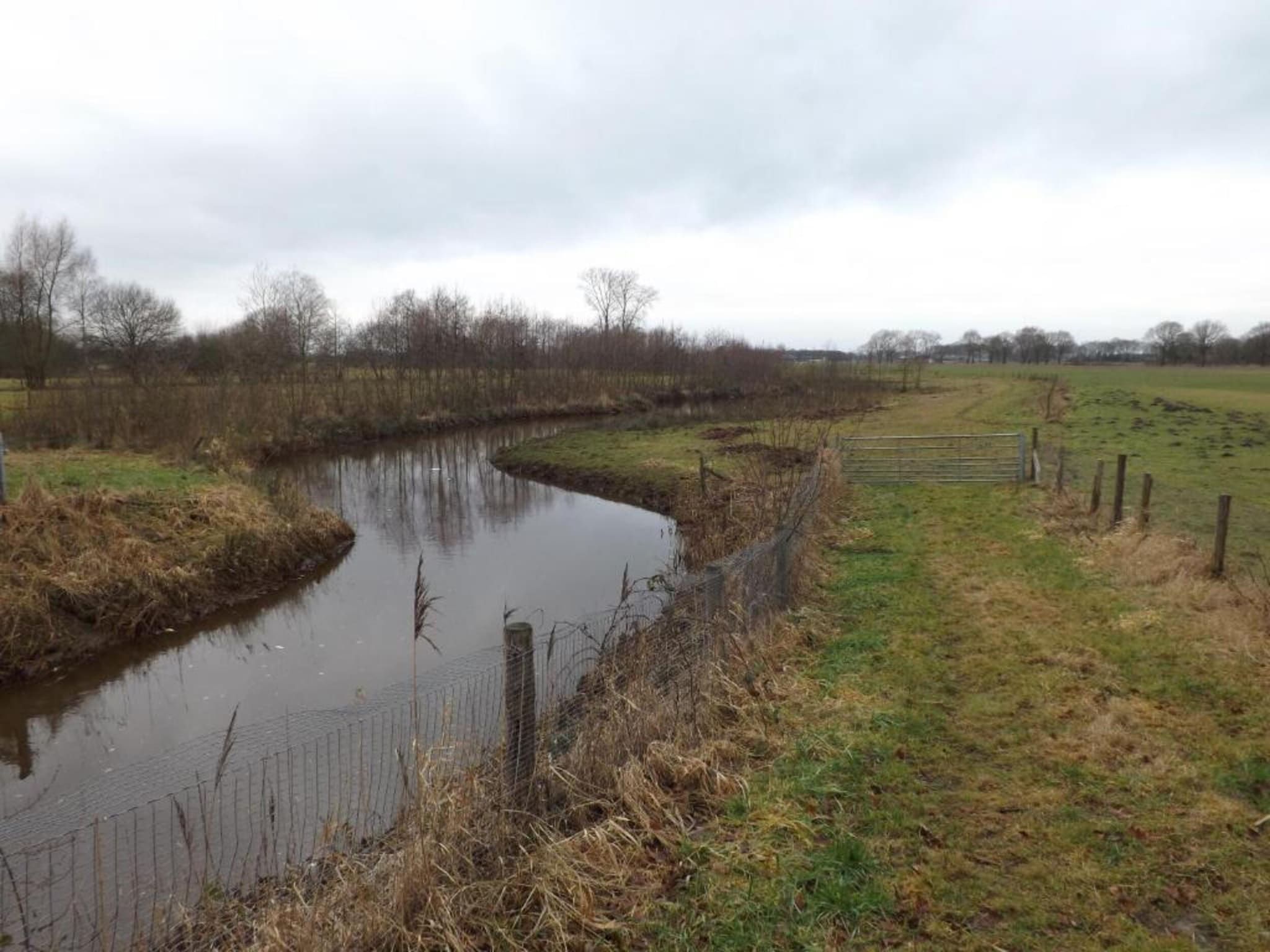 Bungalow 87 in Stramproy - Foto 38 van 40