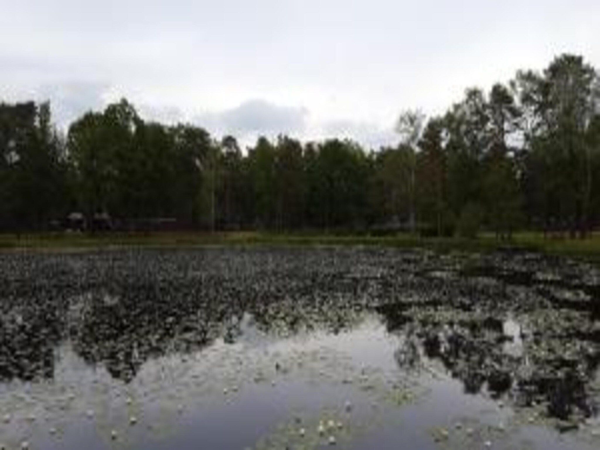 Bungalow 87 in Stramproy - Foto 36 van 40