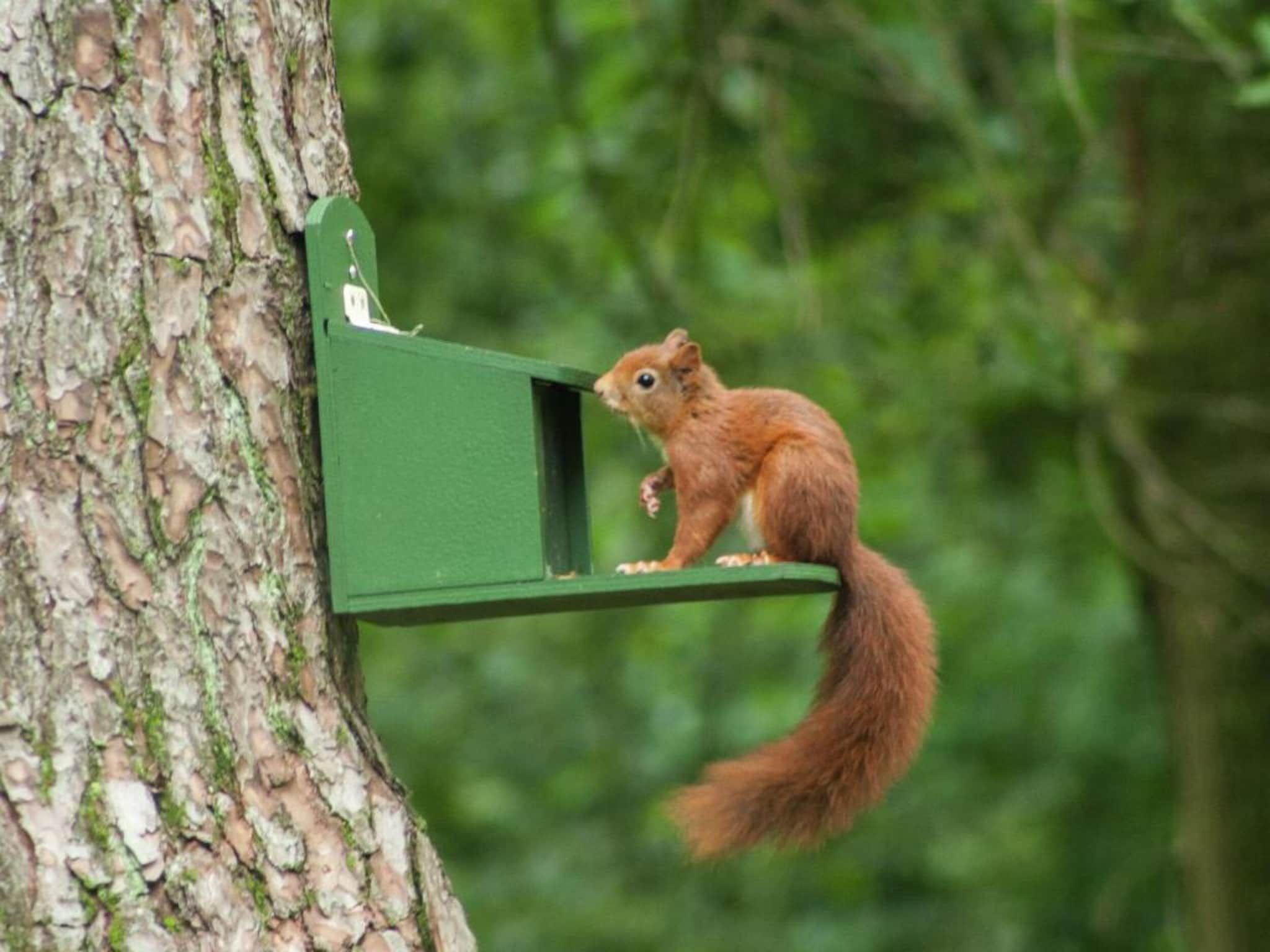 Bungalow 87 in Stramproy - Foto 29 van 40