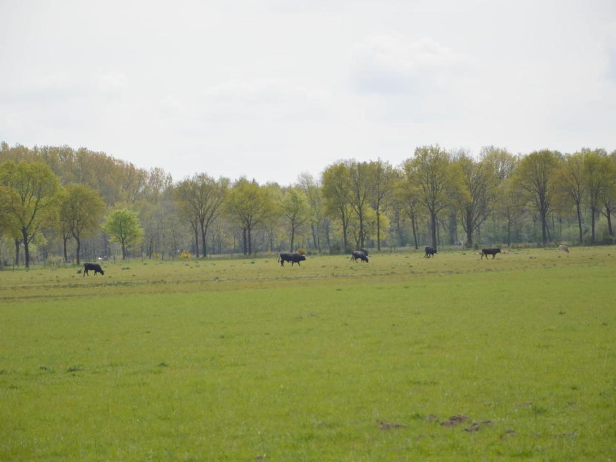 Bungalow 87 in Stramproy - Foto 28 van 40