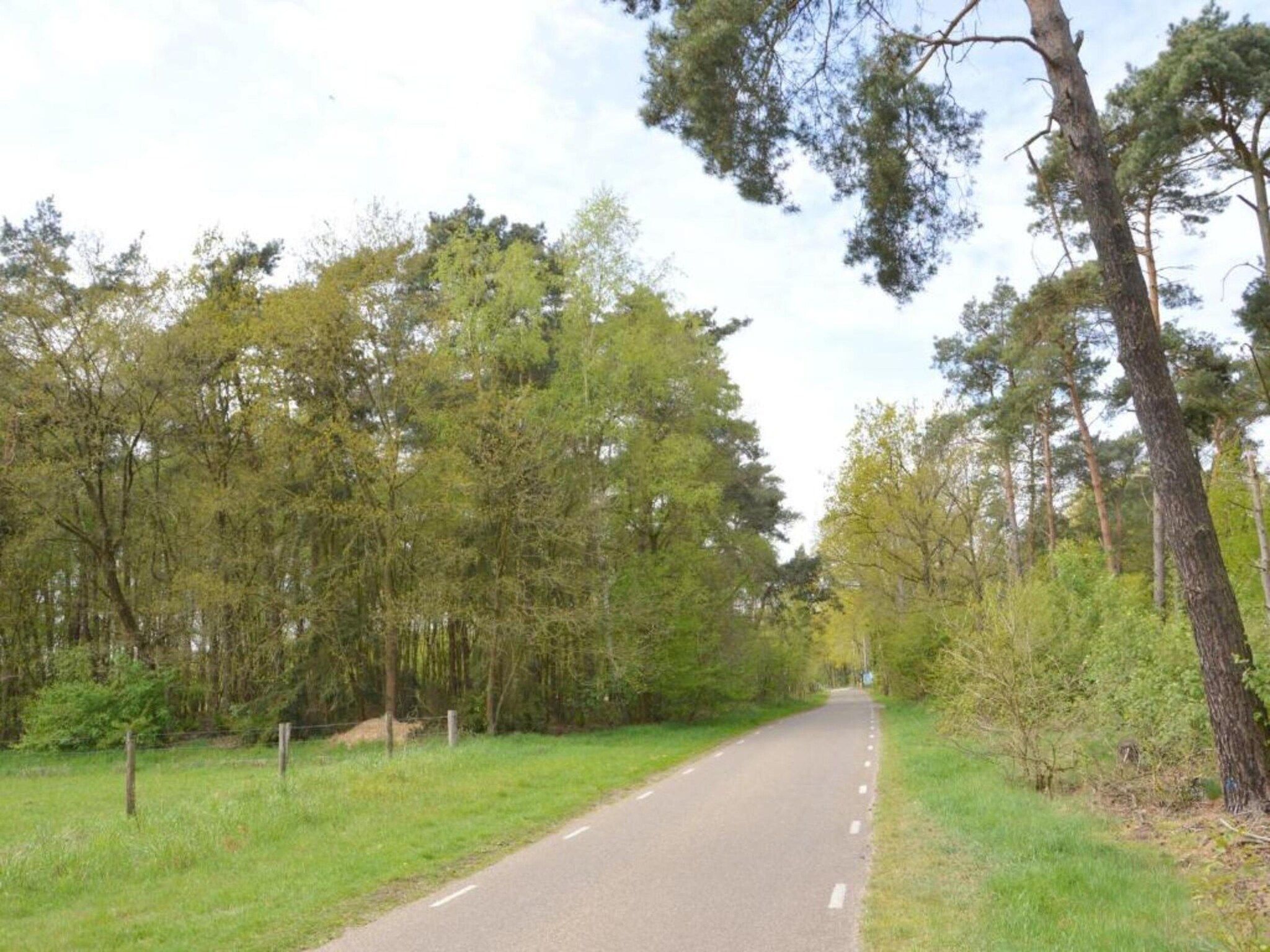 Bungalow 87 in Stramproy - Foto 25 van 40