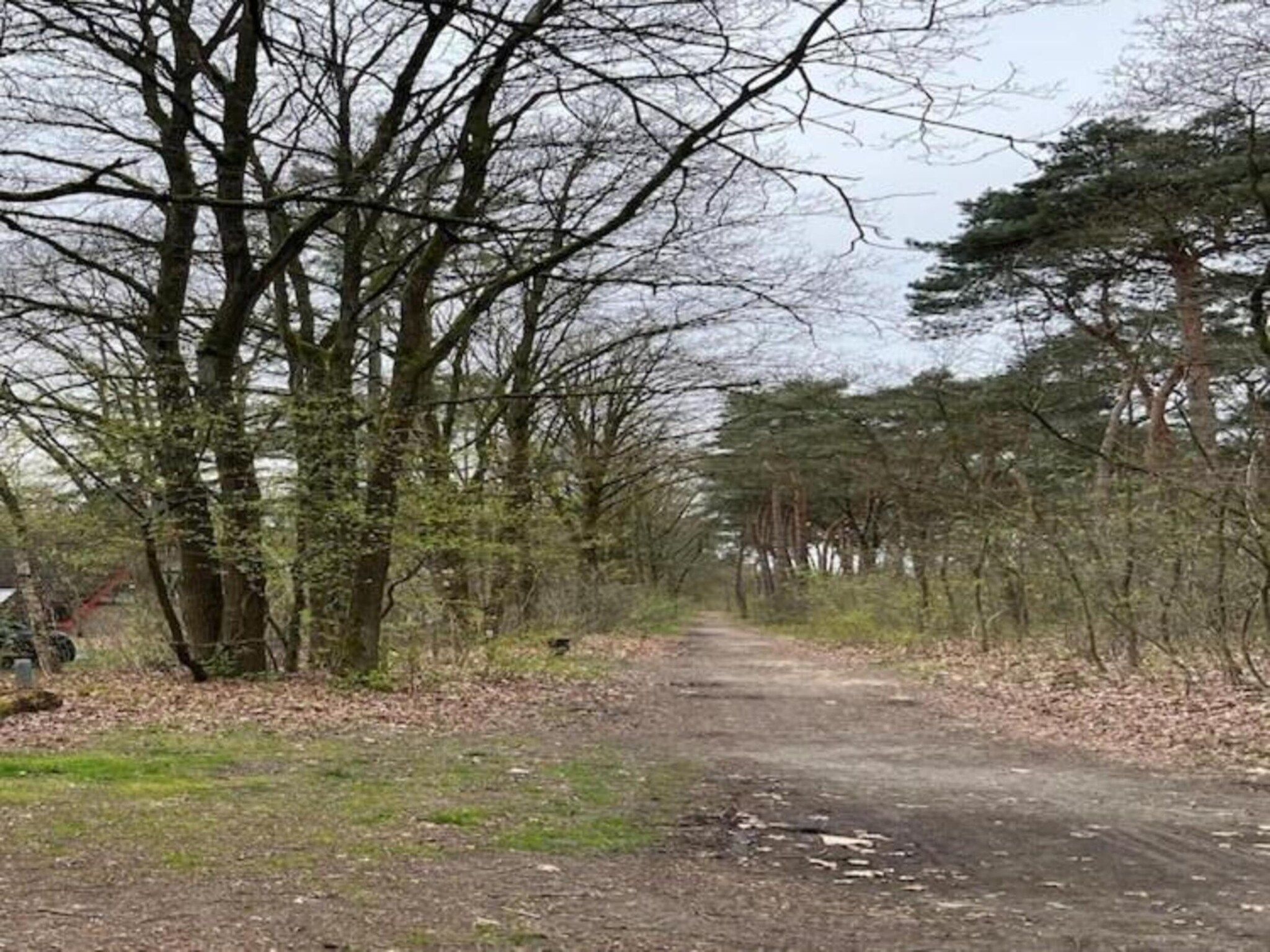 Bungalow 87 in Stramproy - Foto 24 van 40