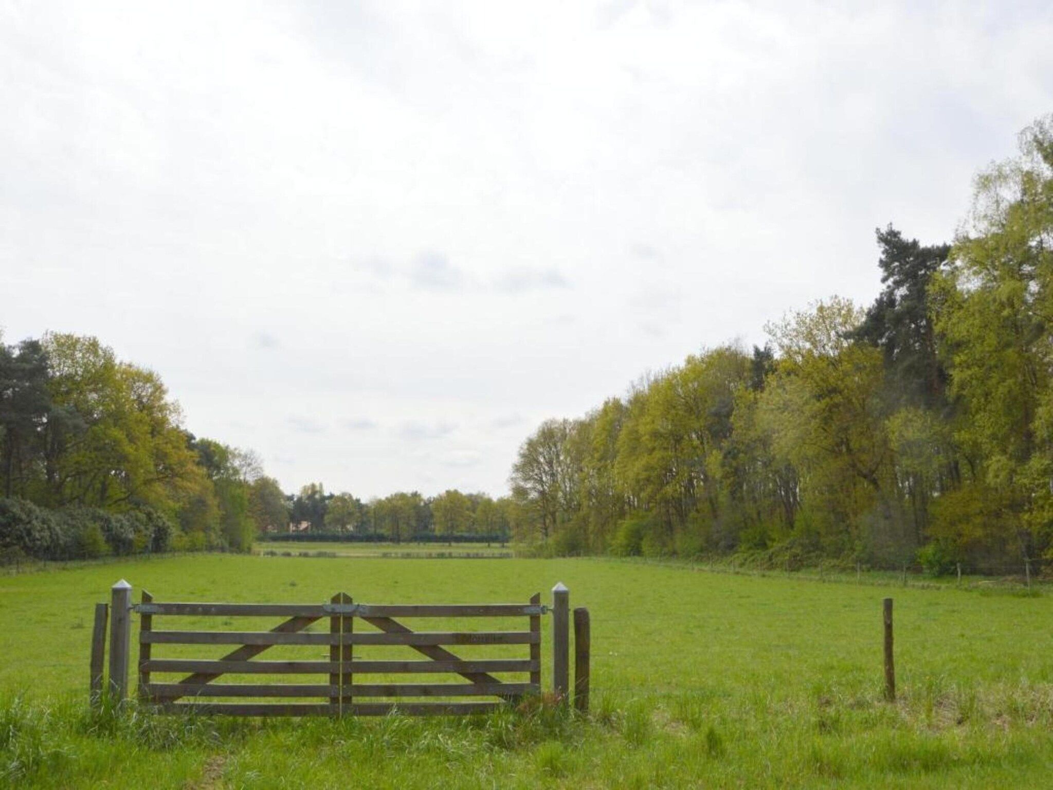 Bungalow 87 in Stramproy - Foto 23 van 40