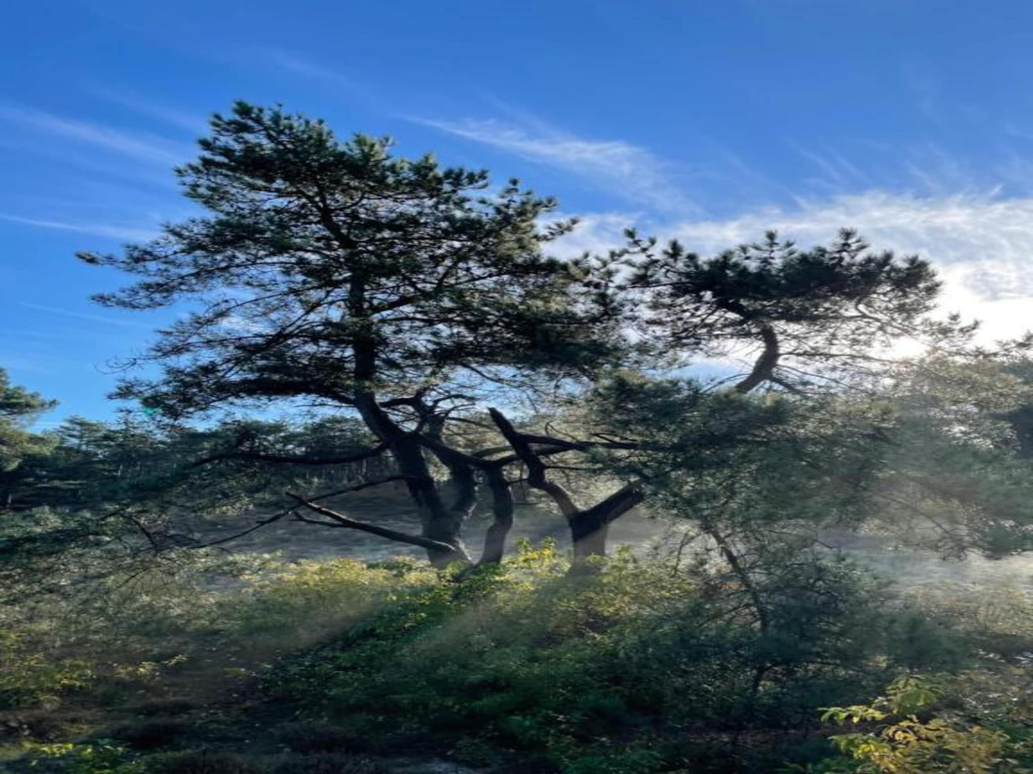 De Beukelaar 2pers in Schoorl - Foto 33 van 40