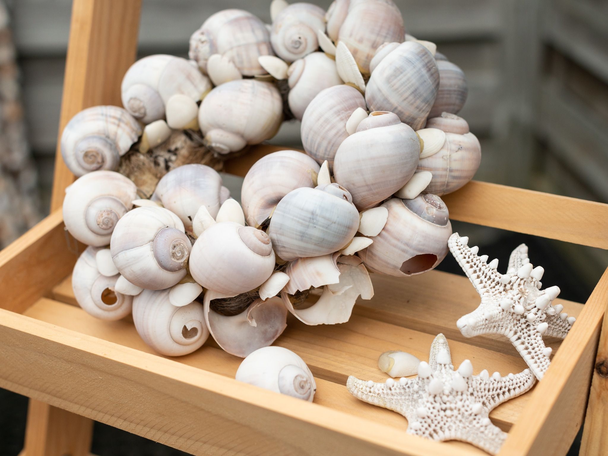 Sfeerbeeld van De Beukelaar 4 pers in Schoorl