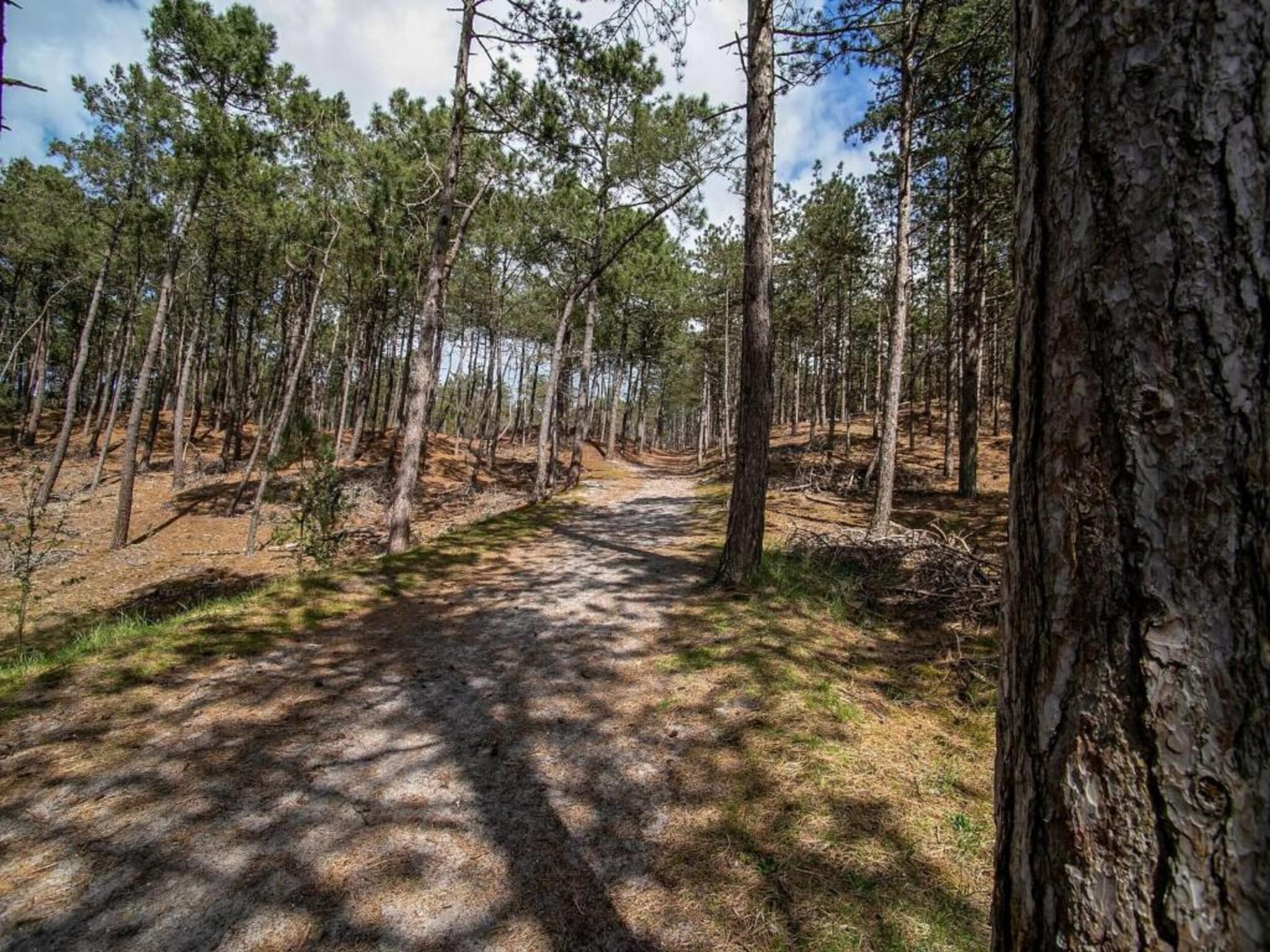 De Beukelaar 4 pers in Schoorl - Foto 25 van 36