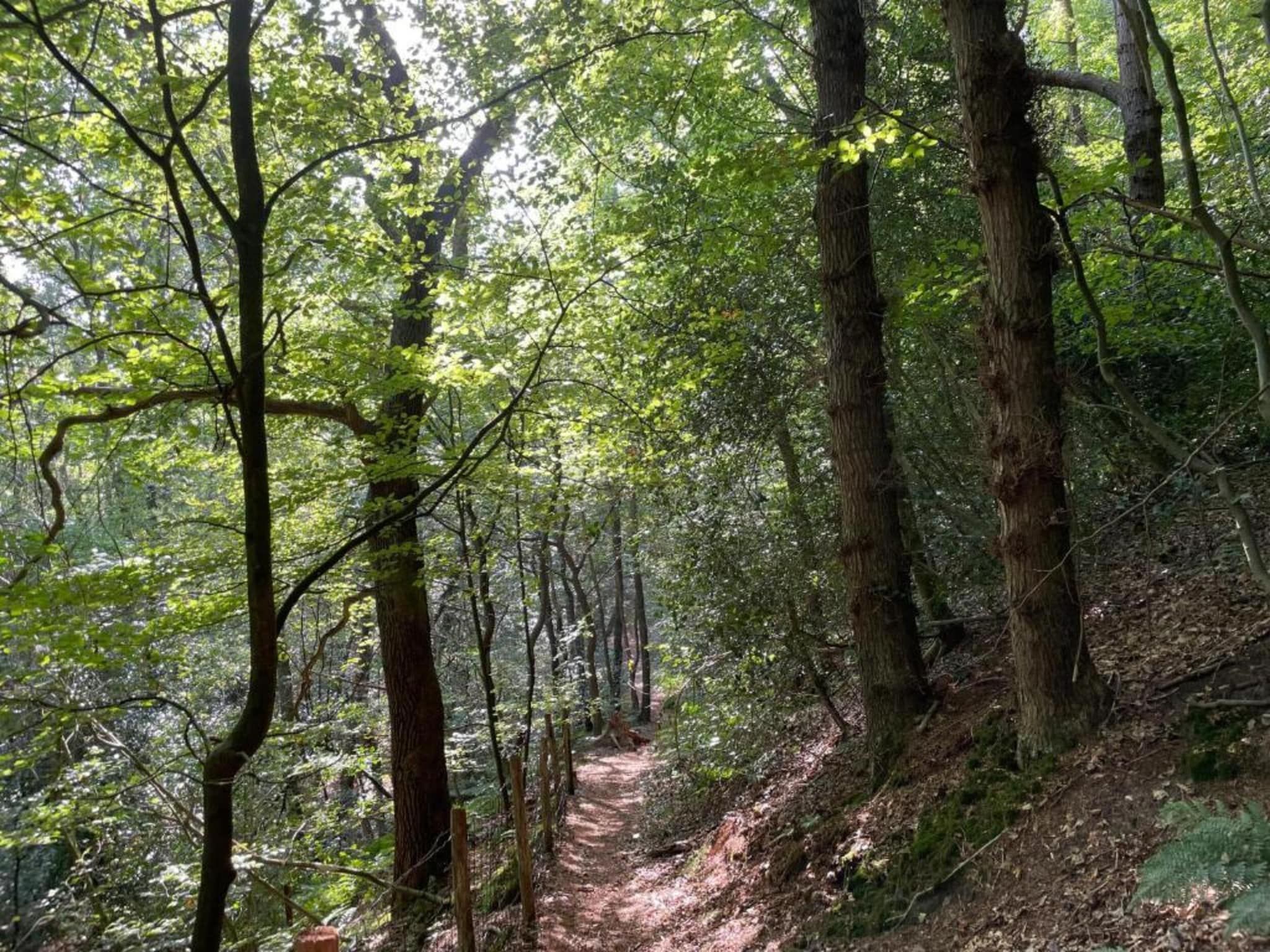 De Beukelaar 4 pers in Schoorl - Foto 23 van 36