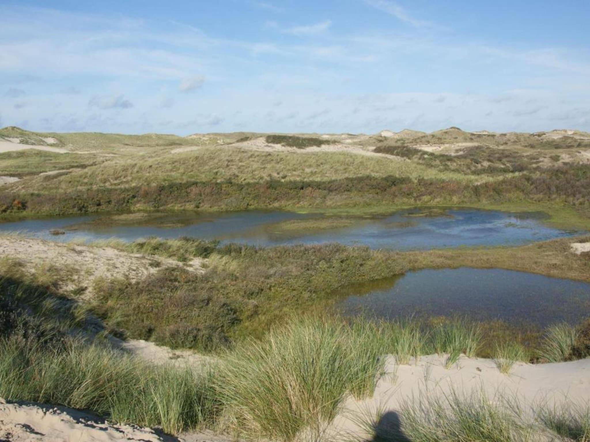 De Beukelaar 4 pers in Schoorl - Foto 27 van 36