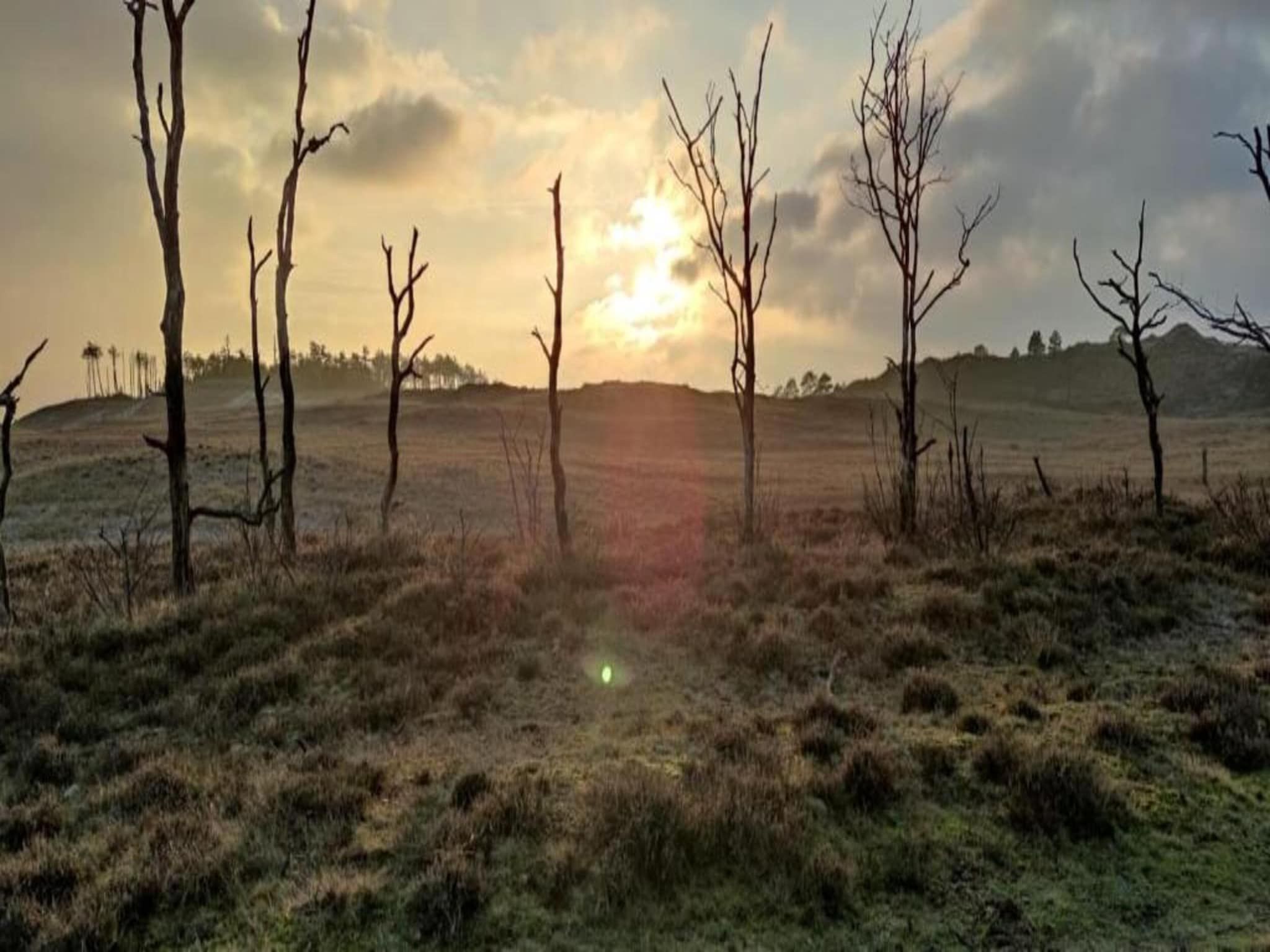 De Beukelaar 4 pers in Schoorl - Foto 28 van 36