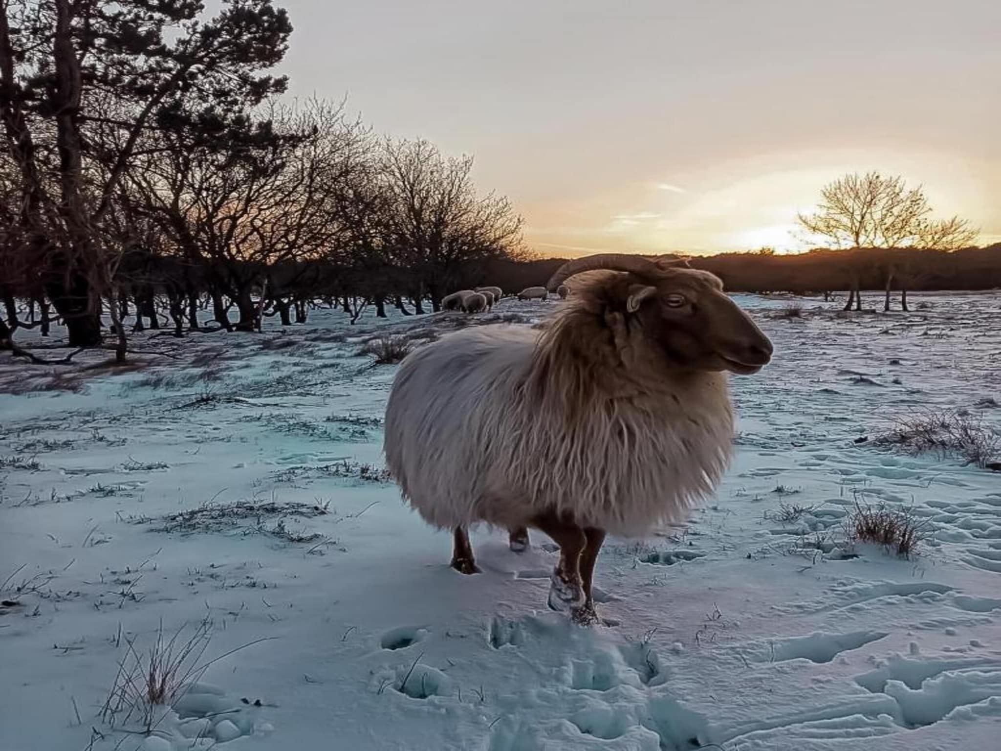 De Beukelaar 4 pers in Schoorl - Foto 31 van 36