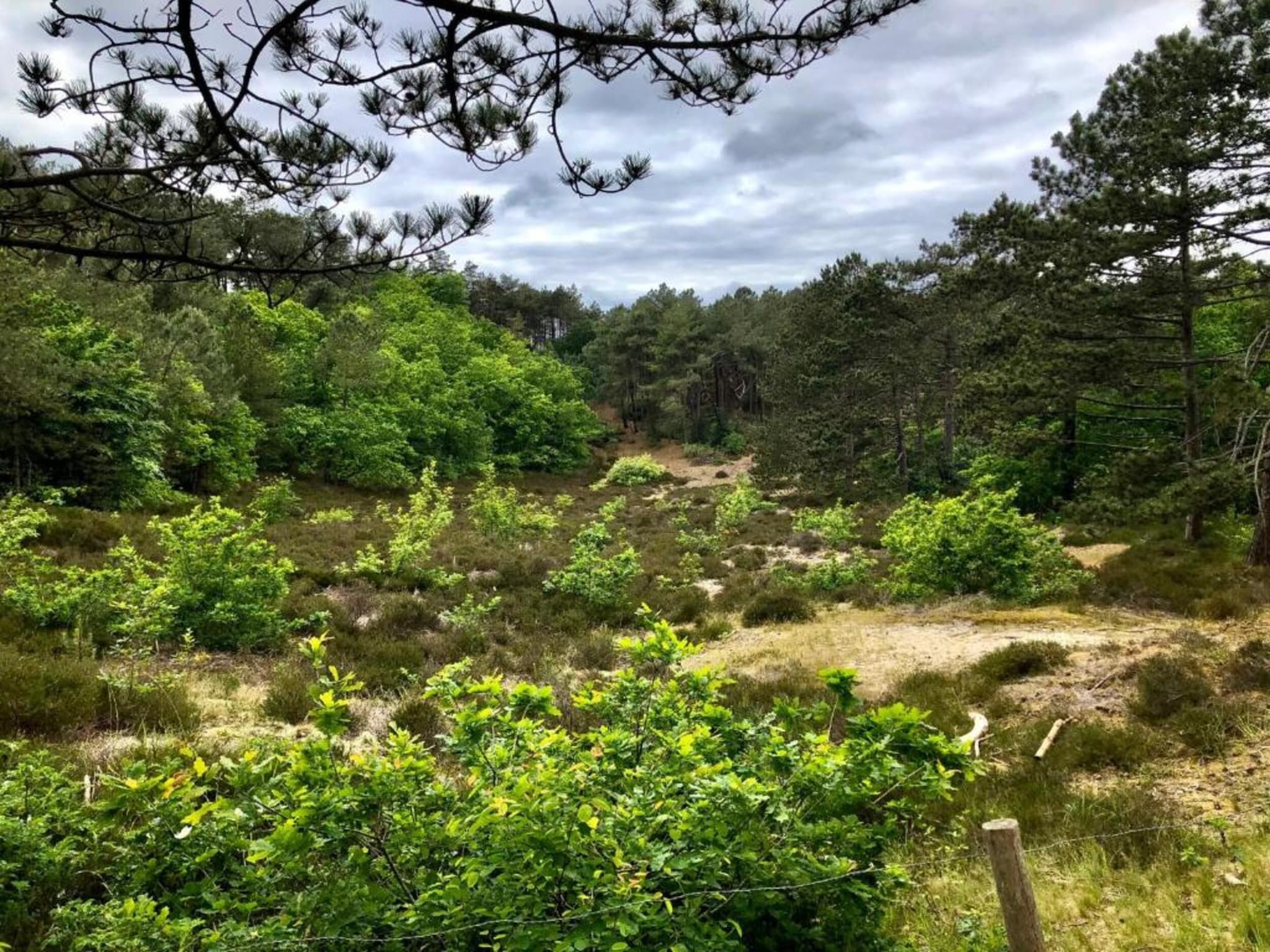 De Beukelaar 4 pers in Schoorl - Foto 30 van 36