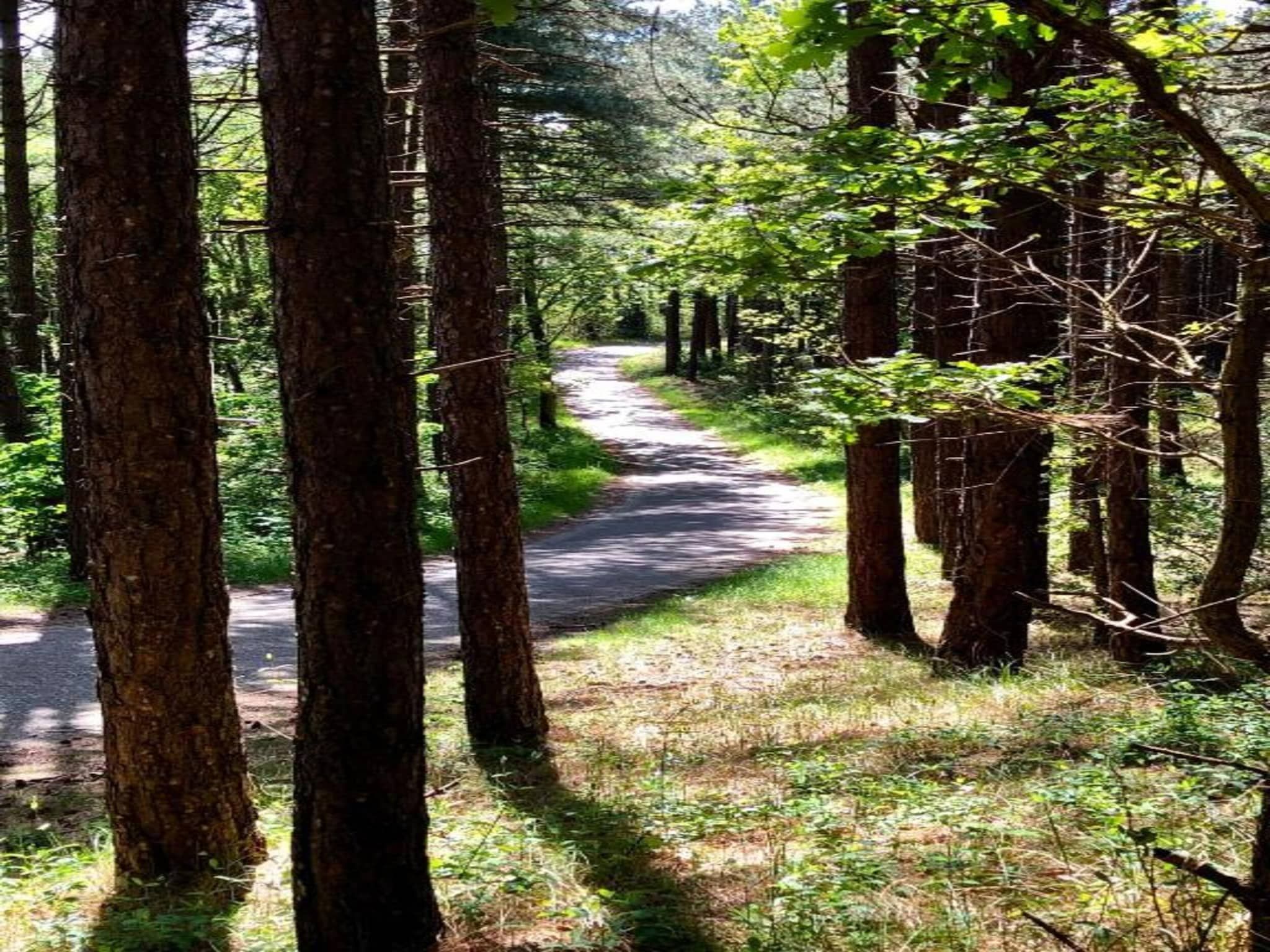 De Beukelaar 4 pers in Schoorl - Foto 35 van 36