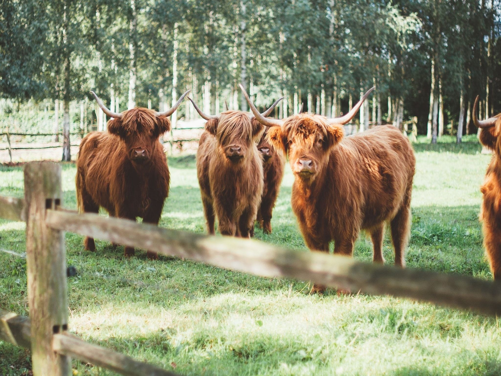 La Grande Maison Douce in Alphen - Foto 34 van 40