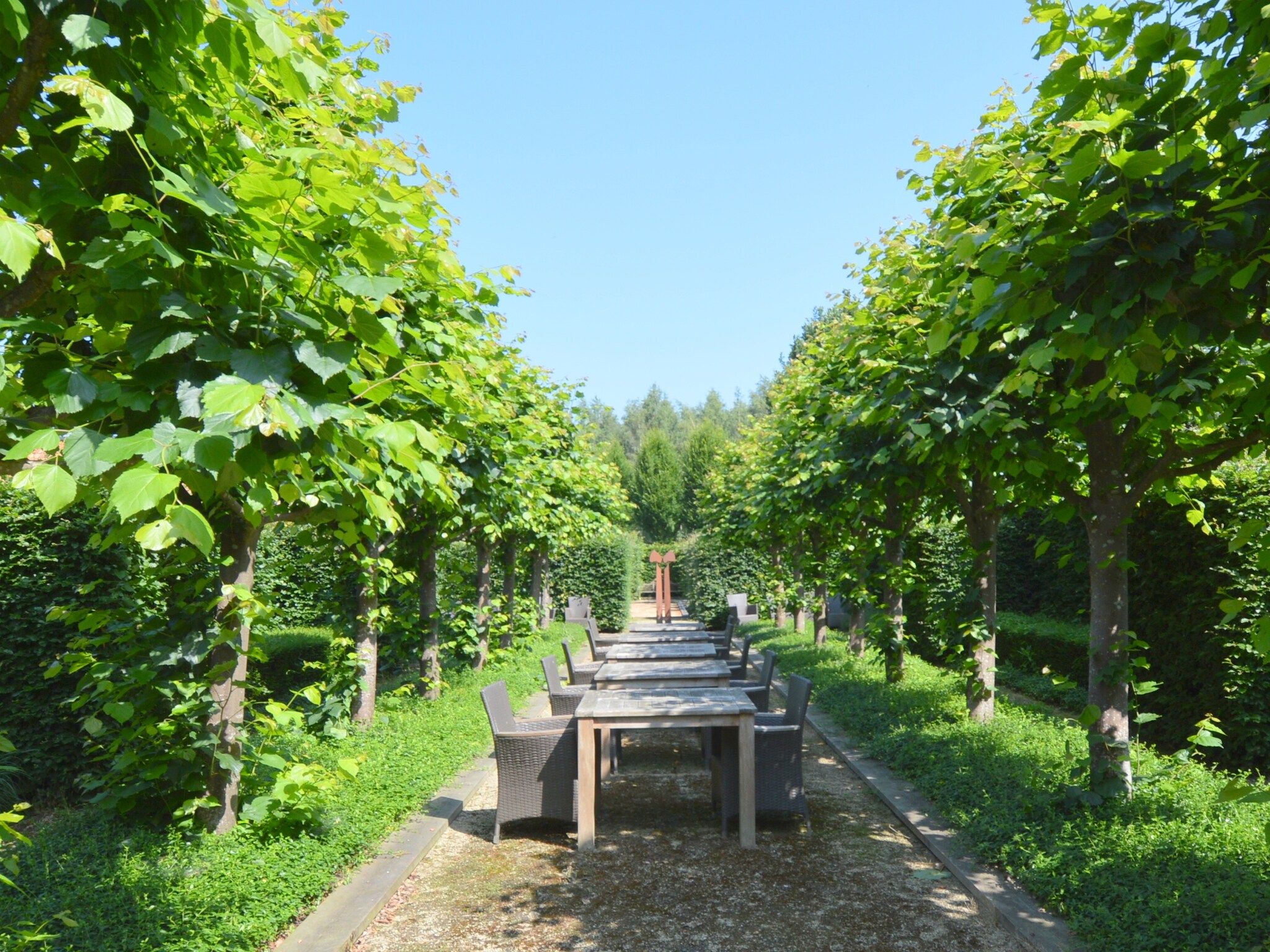 De tuin van La Grande Maison Douce in Alphen