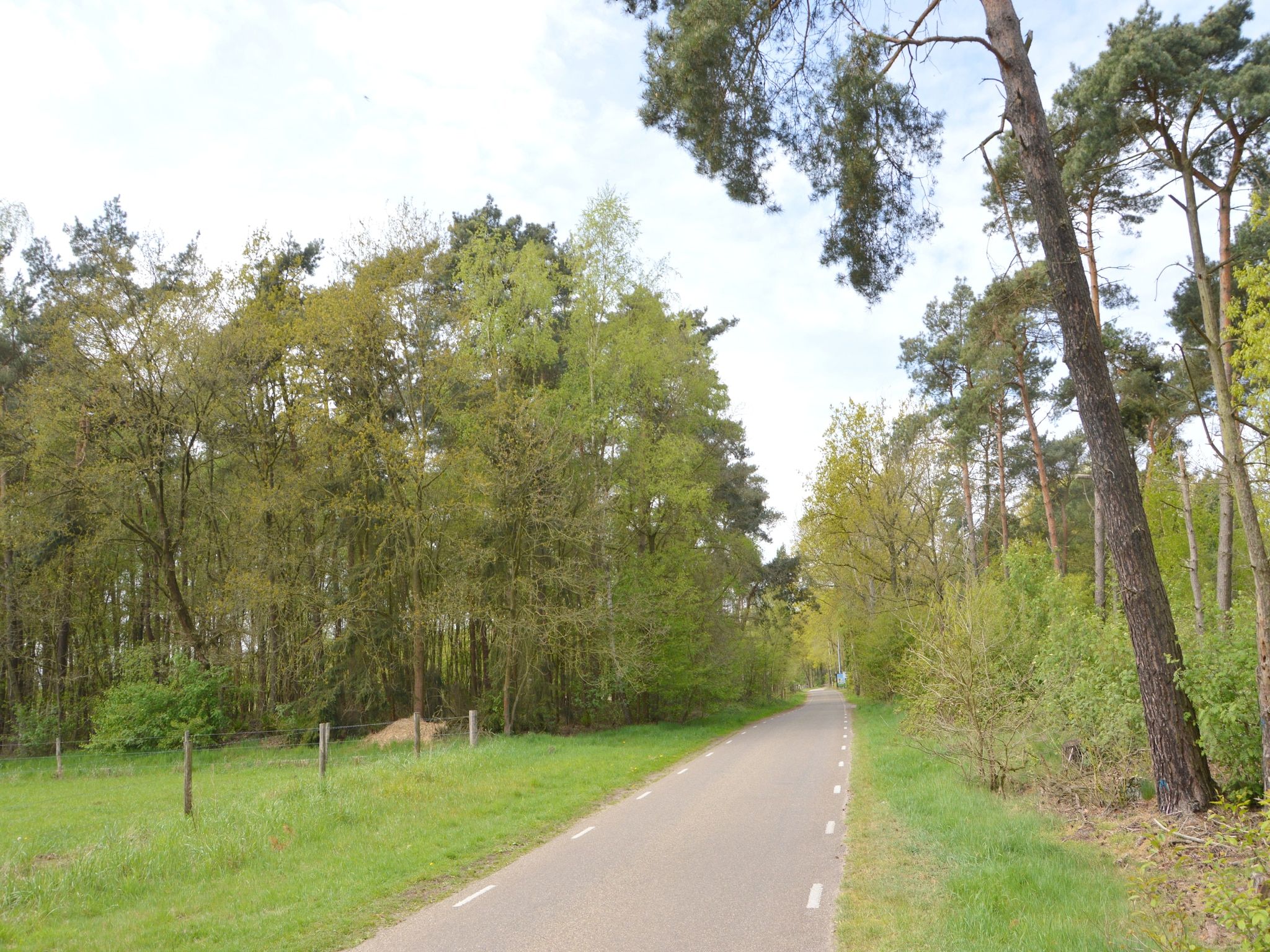 Bungalow 86 in Stramproy - Foto 32 van 40