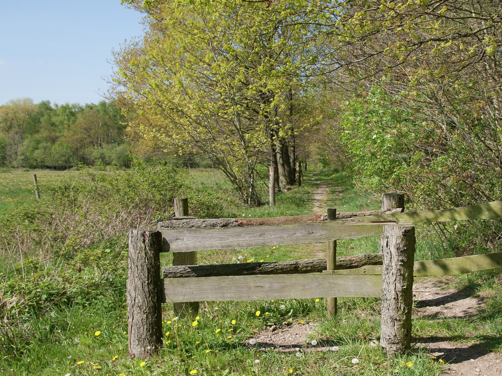 Bungalow 86 in Stramproy - Foto 28 van 40