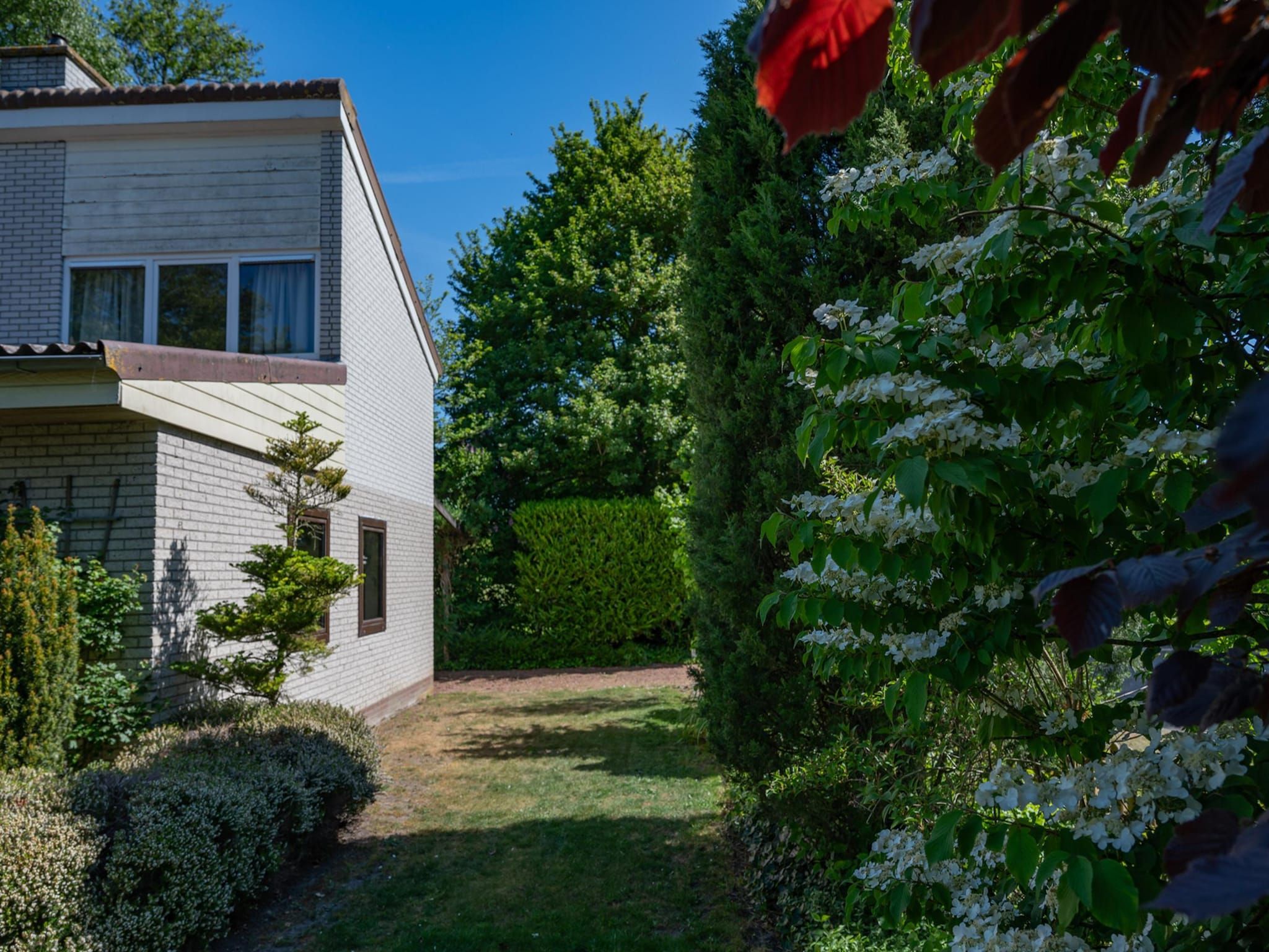 De tuin van Wilgenlaan 1 in Kamperland