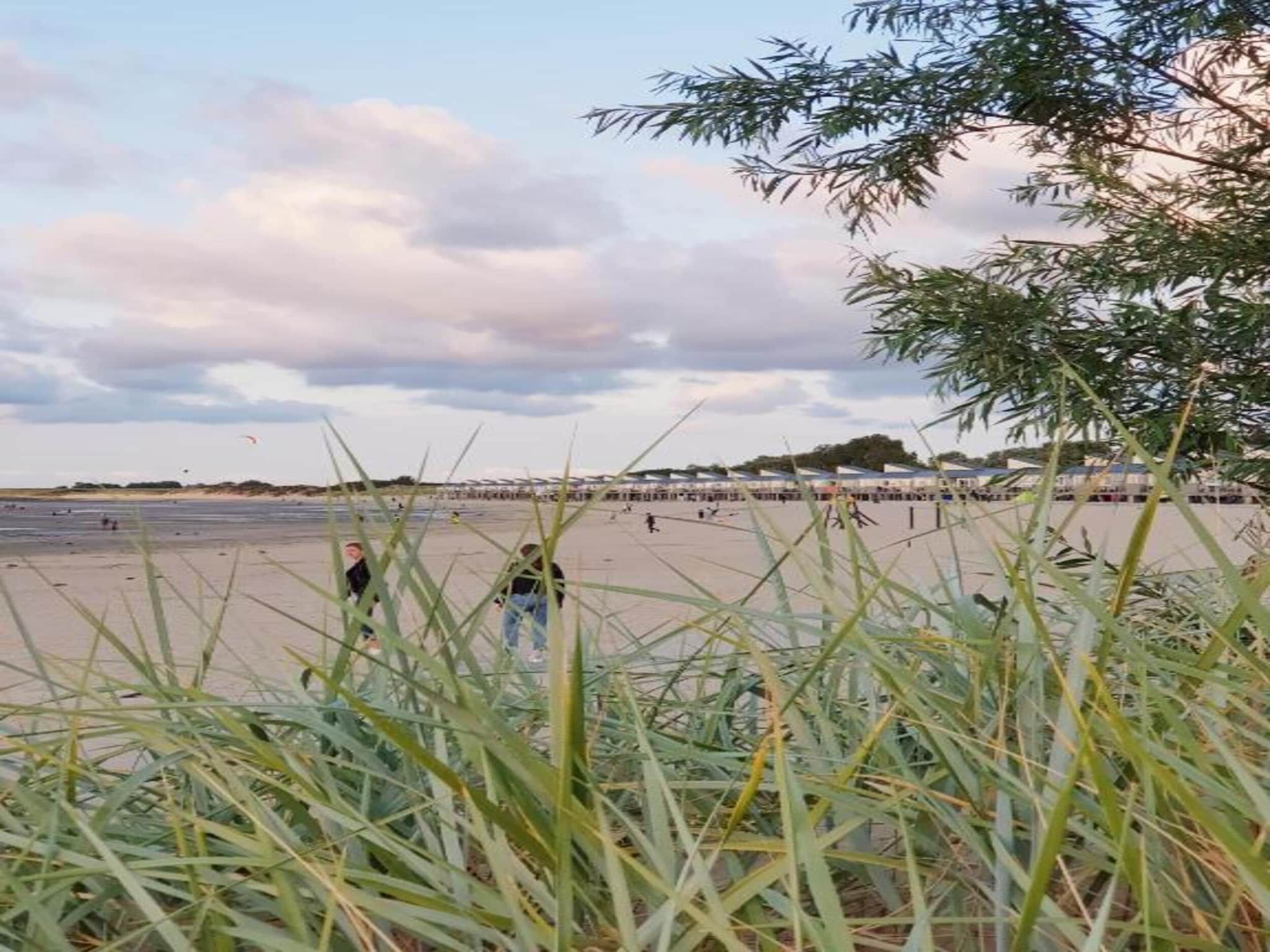 Populierenlaan 1 in Kamperland - Foto 38 van 40