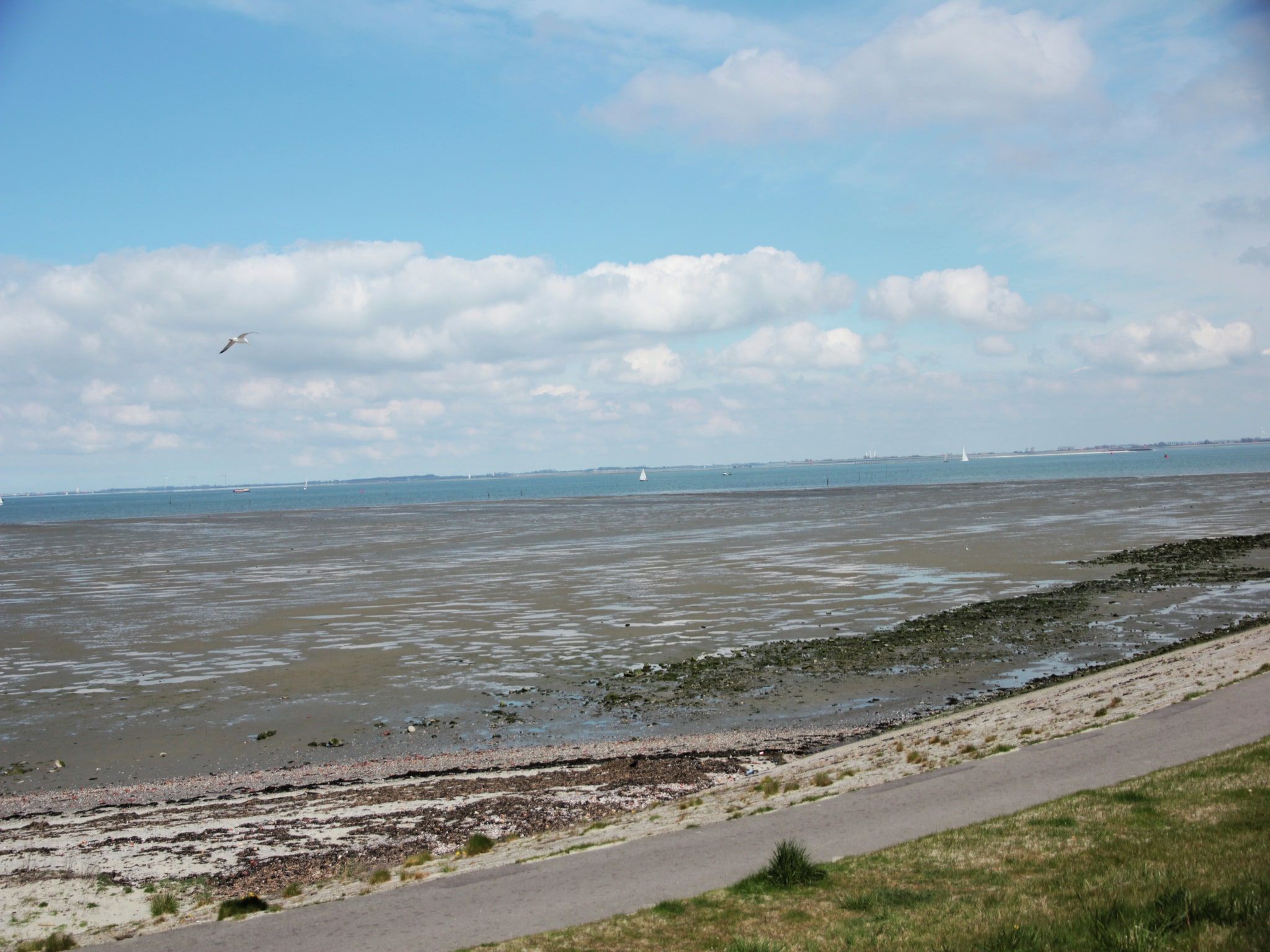 Dichtbij de Oosterschelde in Kattendijke - Foto 27 van 40