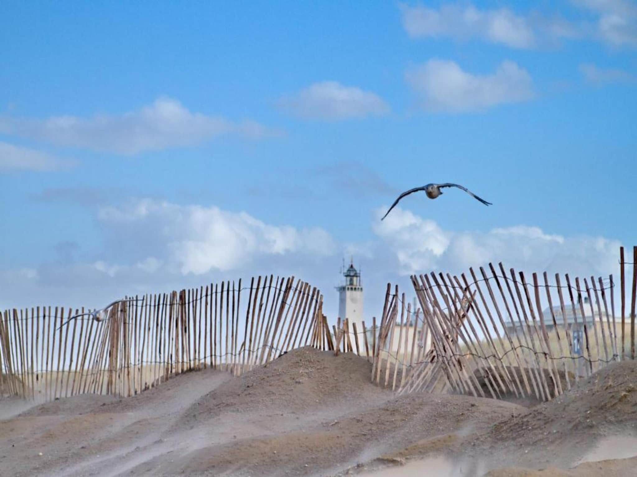 De omgeving van Bungalowpark de Gouden Spar 5 in Noordwijk
