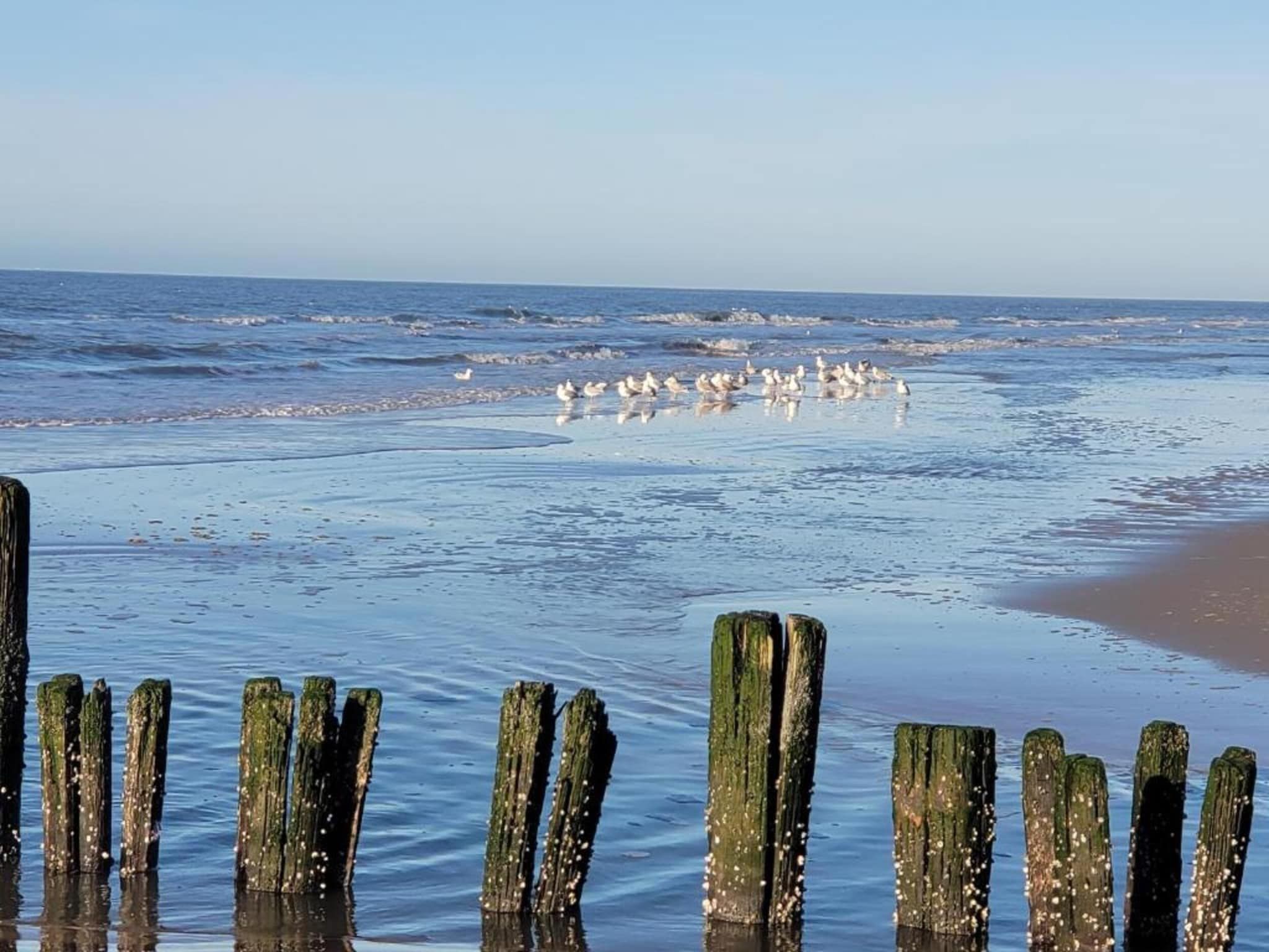 Huize Glory Topaas in Bergen aan Zee - Foto 26 van 39