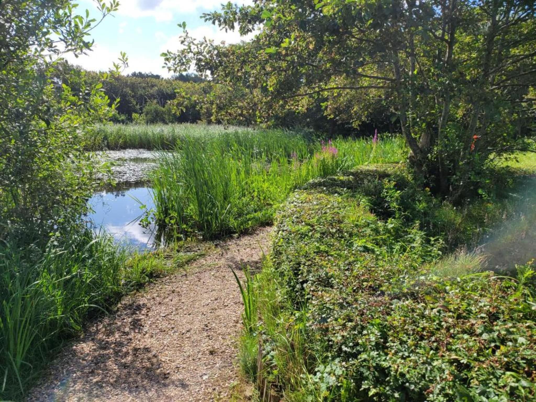 Huize Glory Diamant in Bergen aan zee - Foto 36 van 43