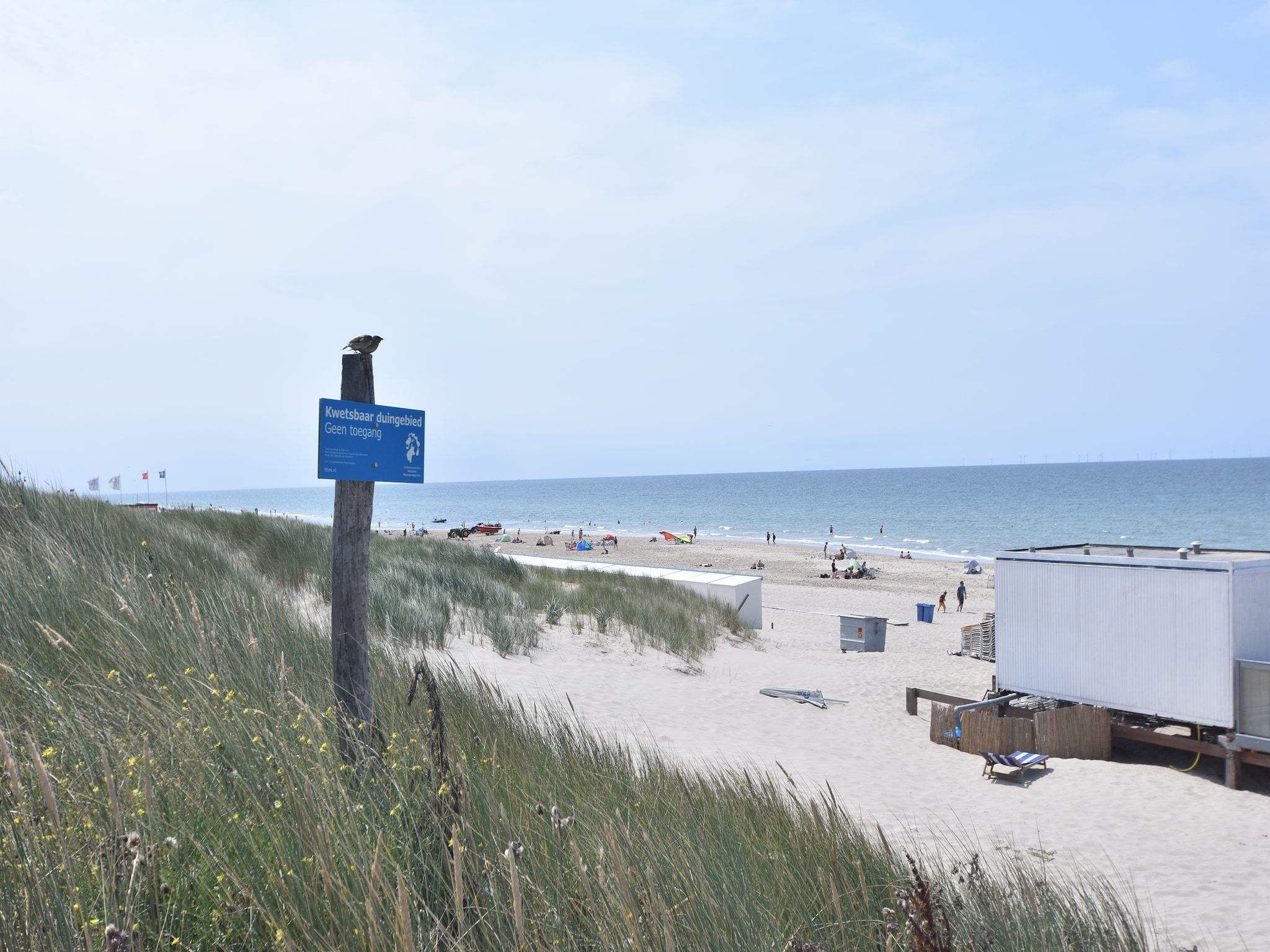 De omgeving van Huize Glory Robijn in Bergen aan zee