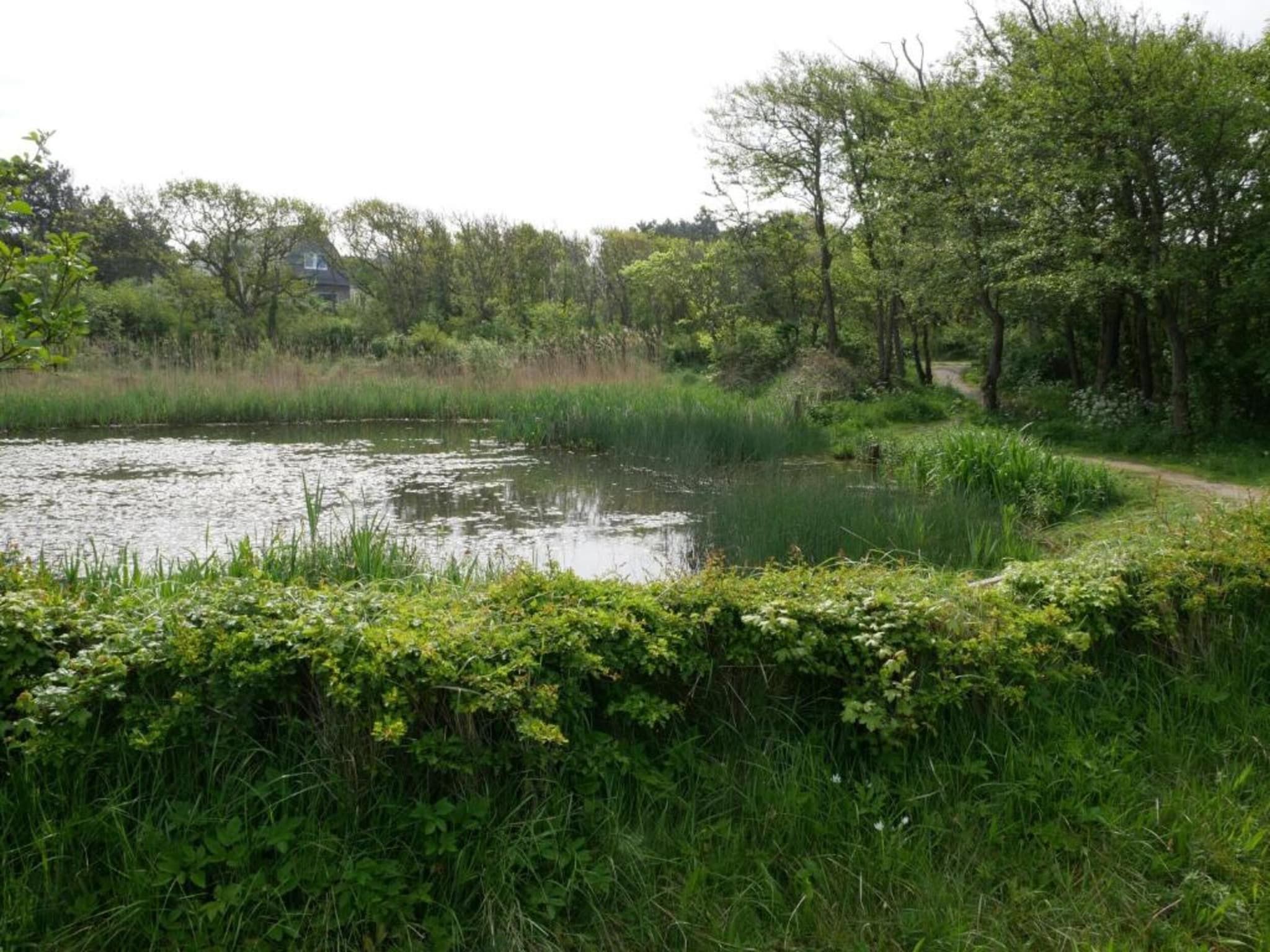 Huize Glory Robijn in Bergen aan zee - Foto 30 van 40
