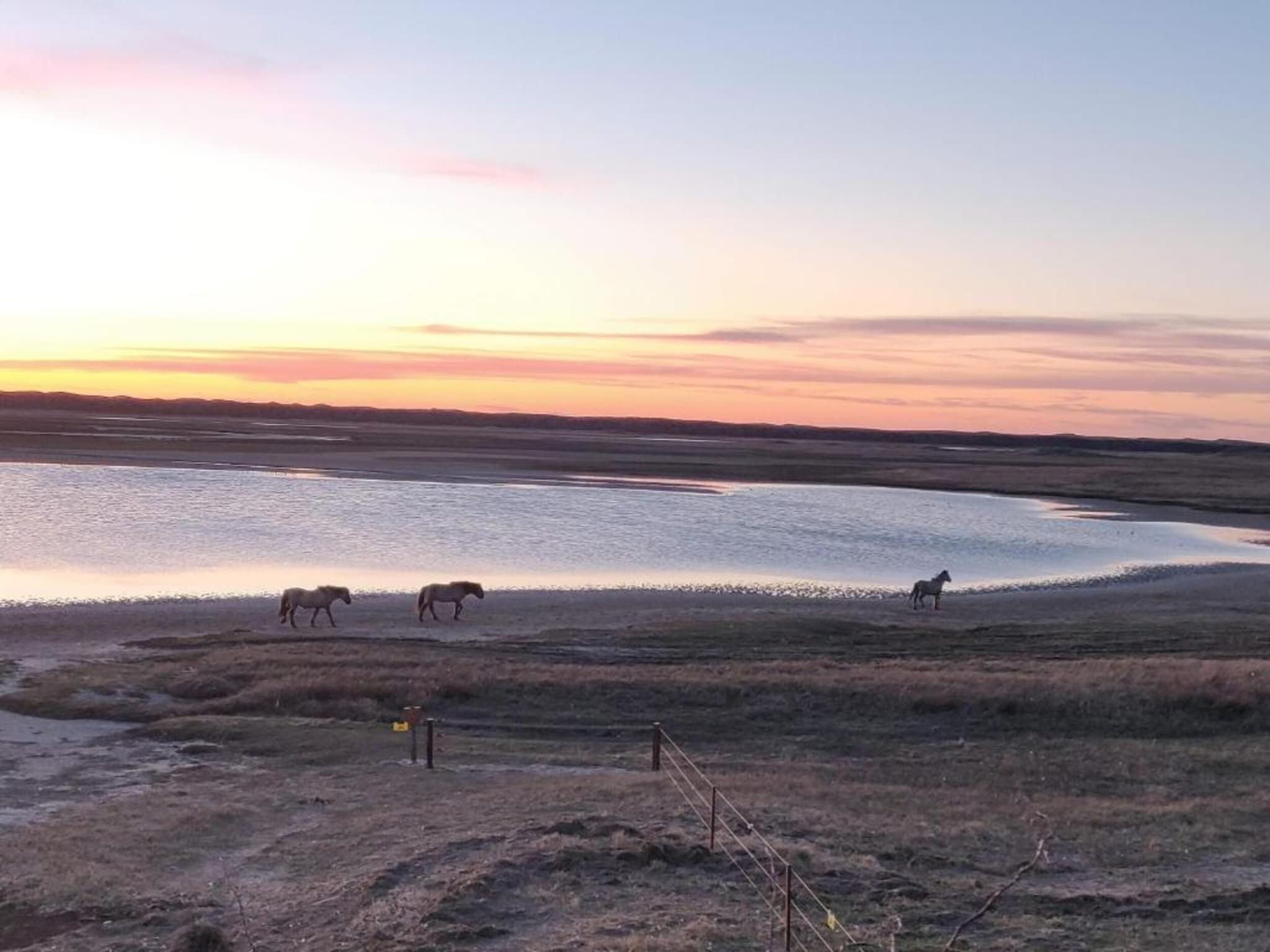 Kustpark Texel 7 in De Koog - Foto 38 van 41