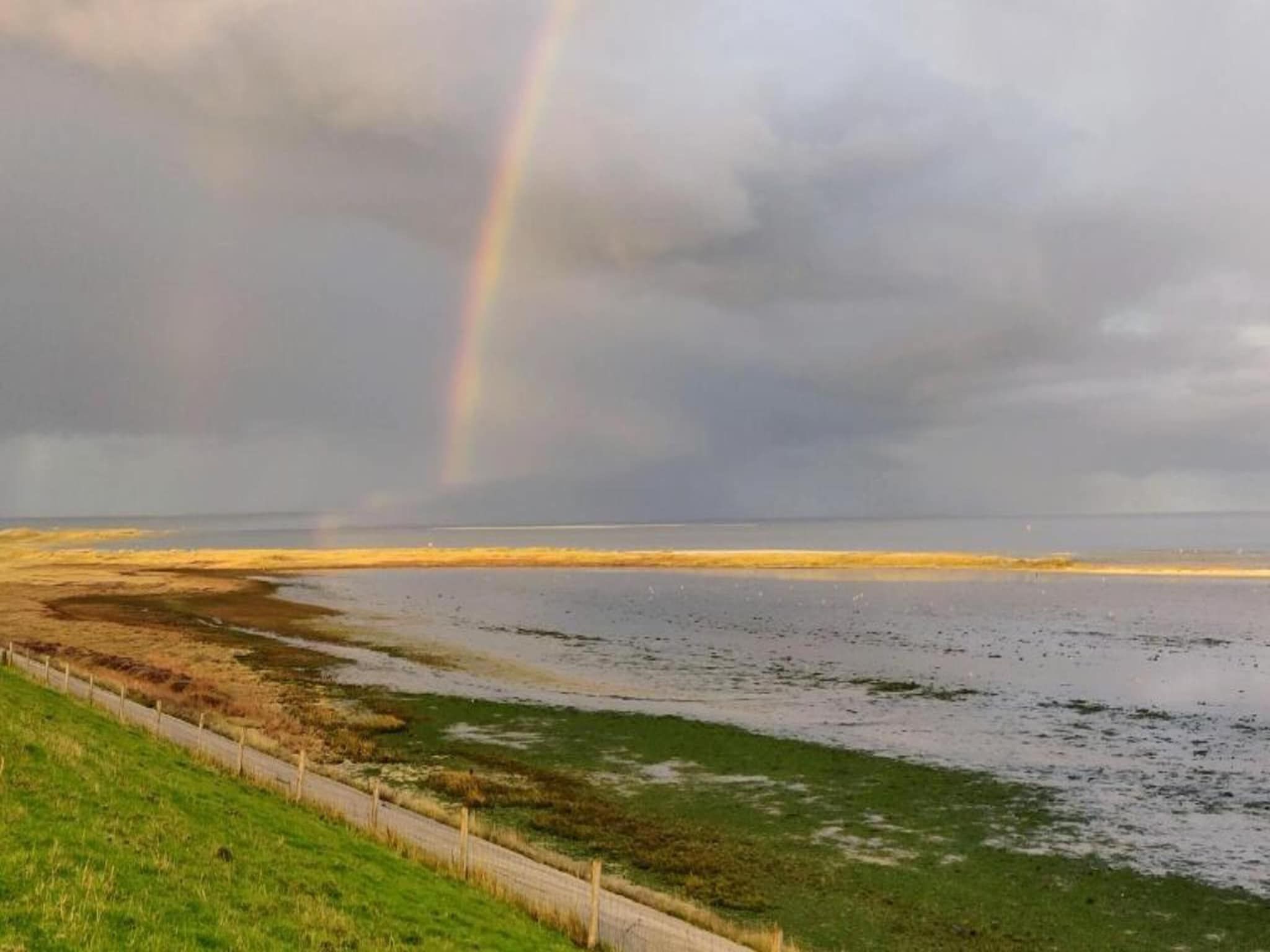 Kustpark Texel 7 in De Koog - Foto 37 van 41