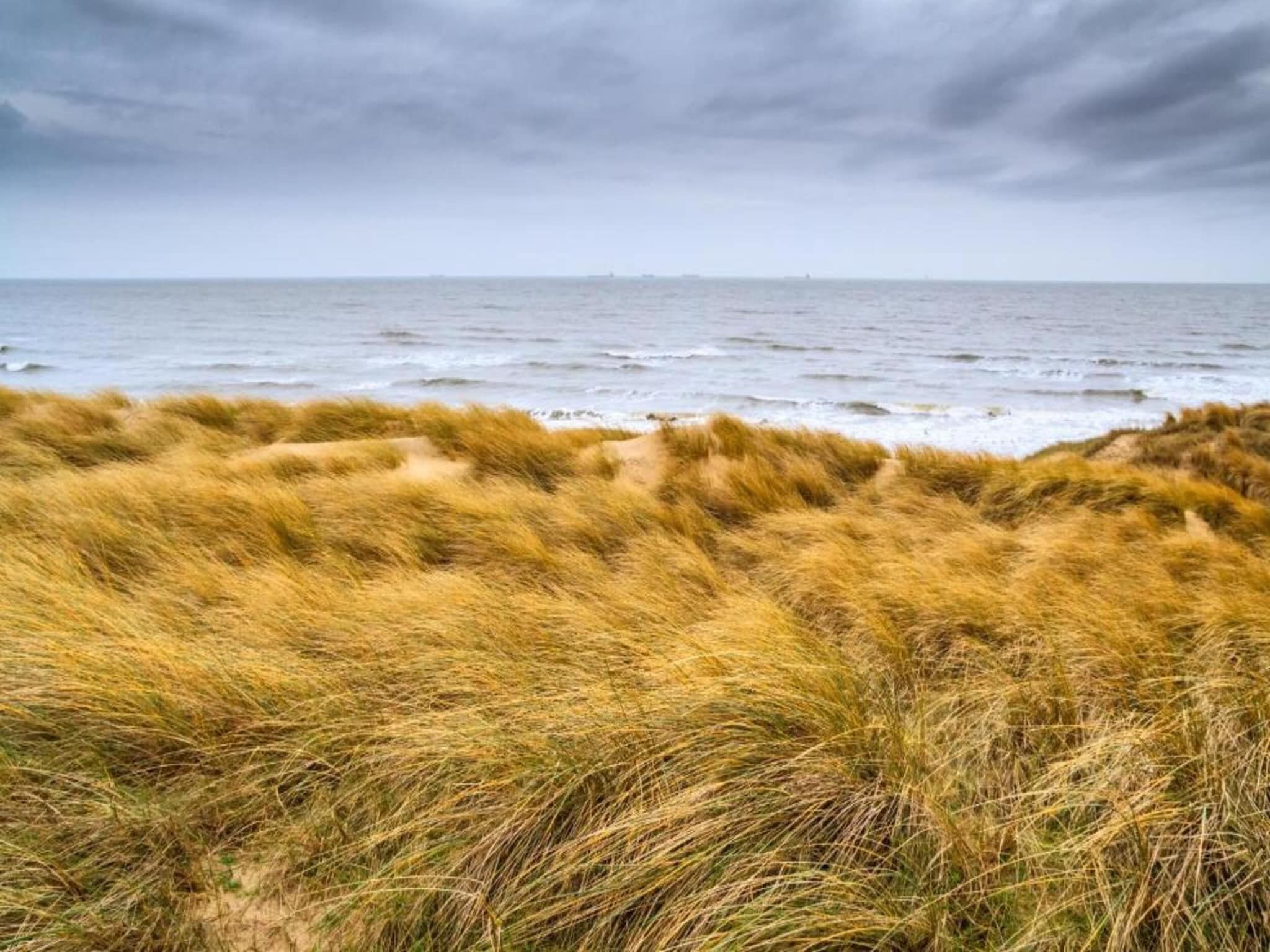 Vakantiepark Kijkduin 1 in Den Haag - Foto 39 van 40