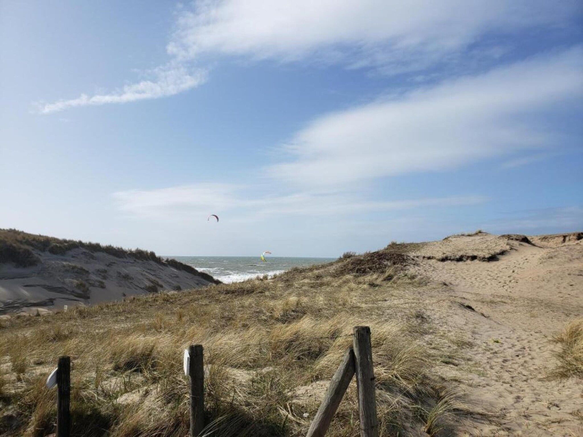 Bos-Lodge in Noordwijkerhout - Foto 34 van 40