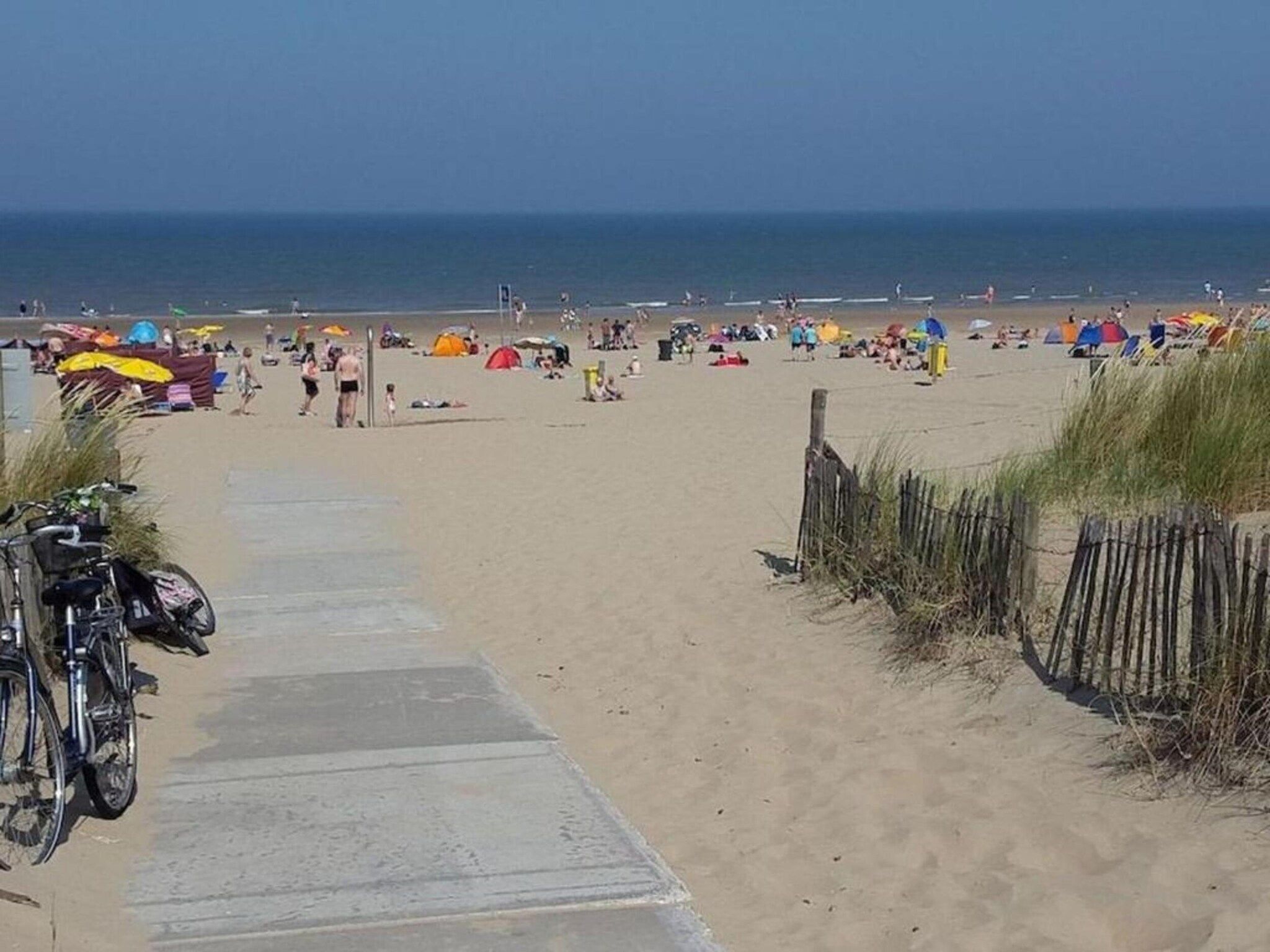 Bos-Lodge in Noordwijkerhout - Foto 33 van 40