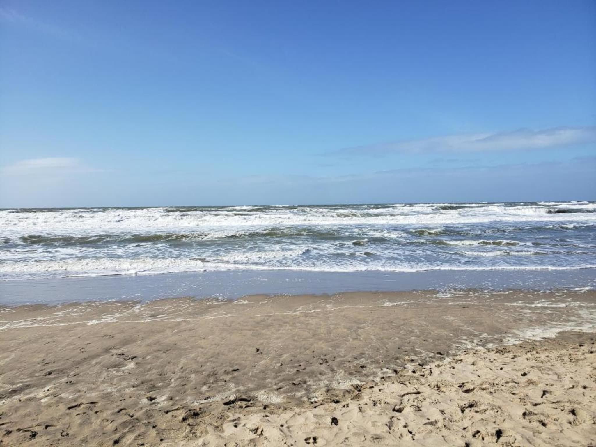 Bos-Lodge in Noordwijkerhout - Foto 35 van 40