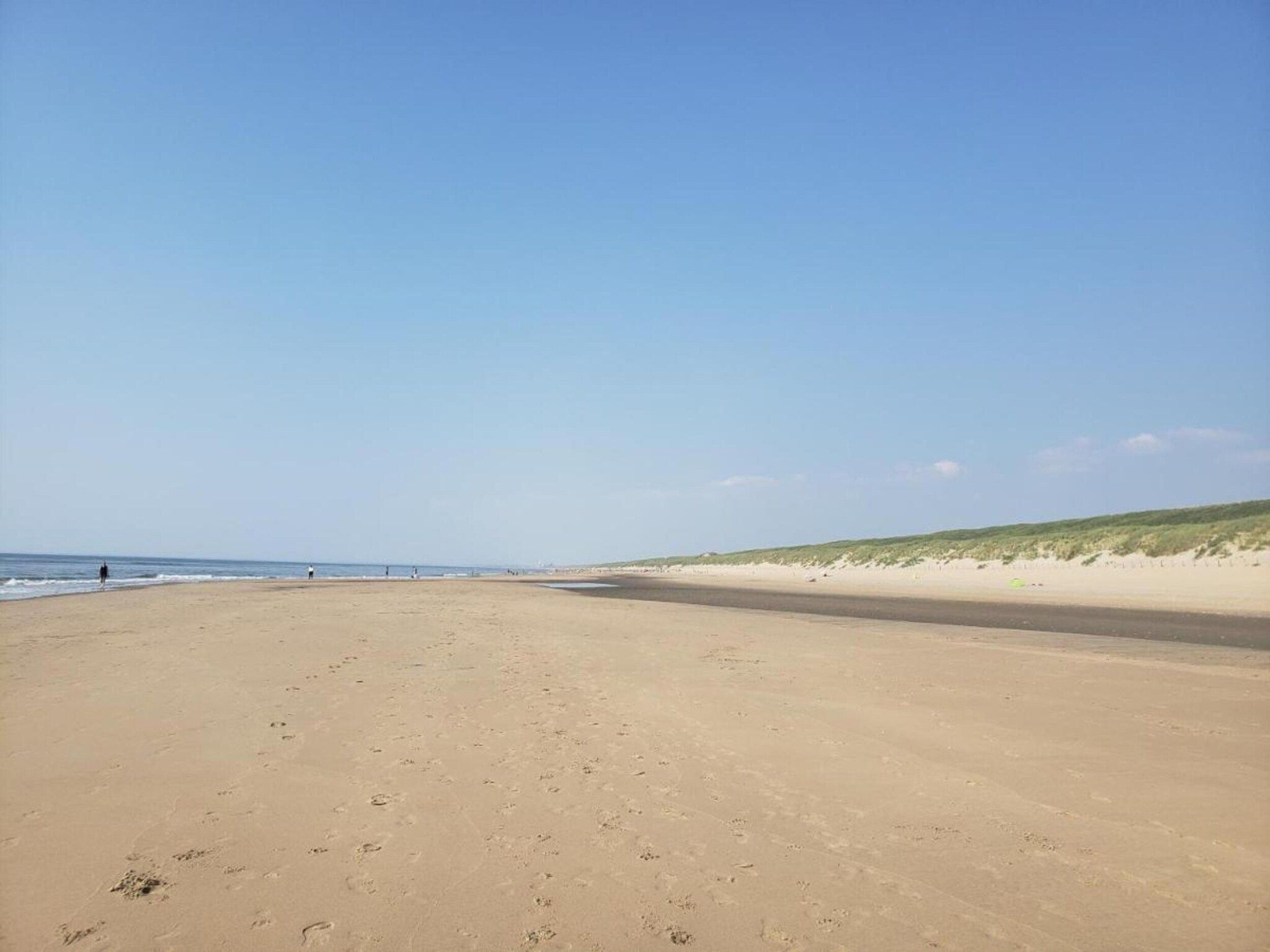 Bos-Lodge in Noordwijkerhout - Foto 36 van 40