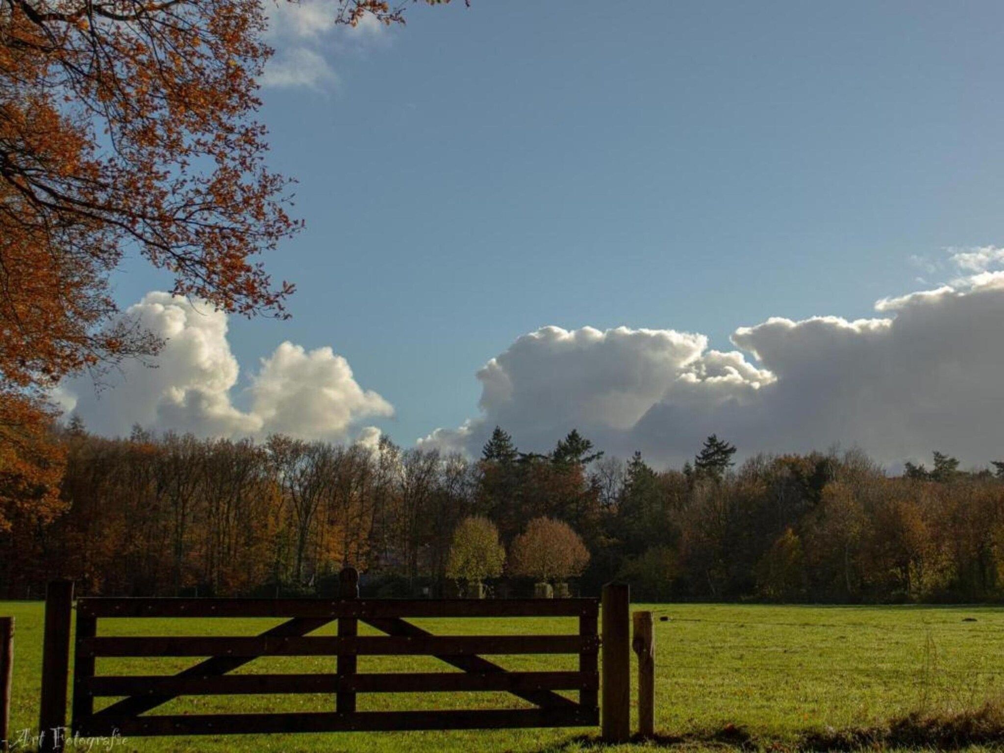 Kukeluusje in Hulshorst - Foto 37 van 40